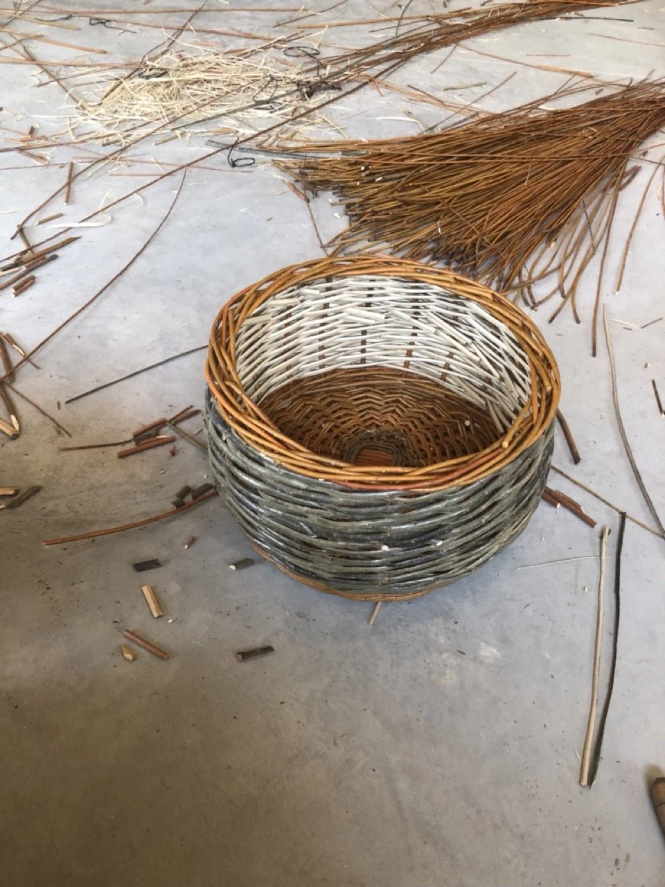 IMG_8804 en tamaño grande.jpeg