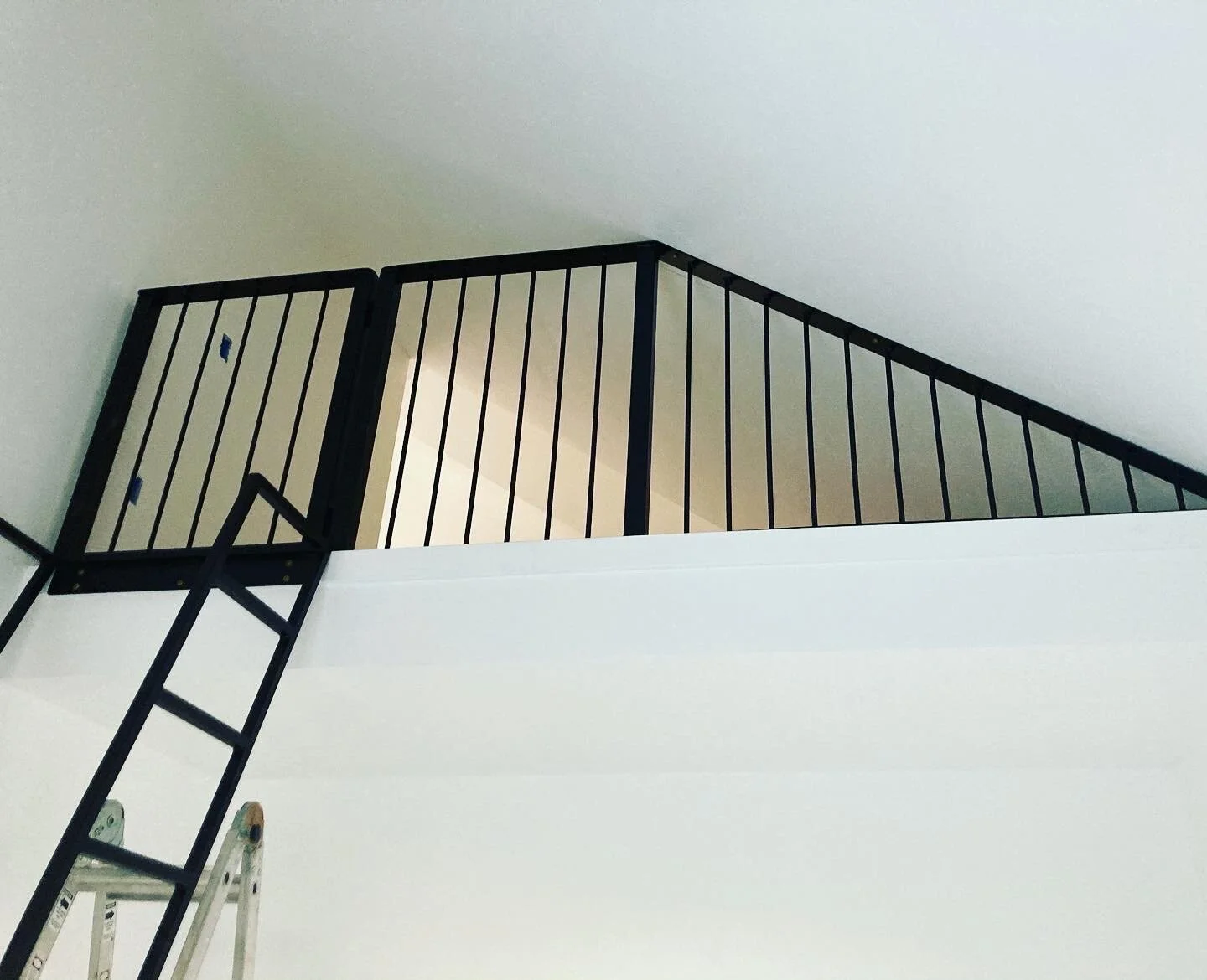 Copy of 3051D499-FB4D-422E-B044-171928ABE96A.JPG