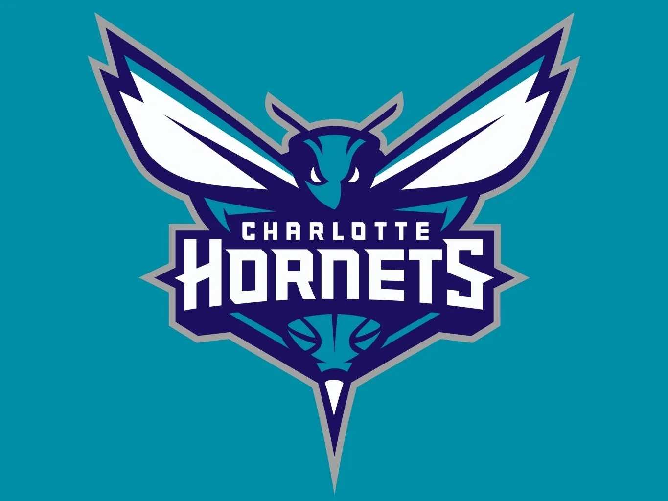 Charlotte_Hornets.webp