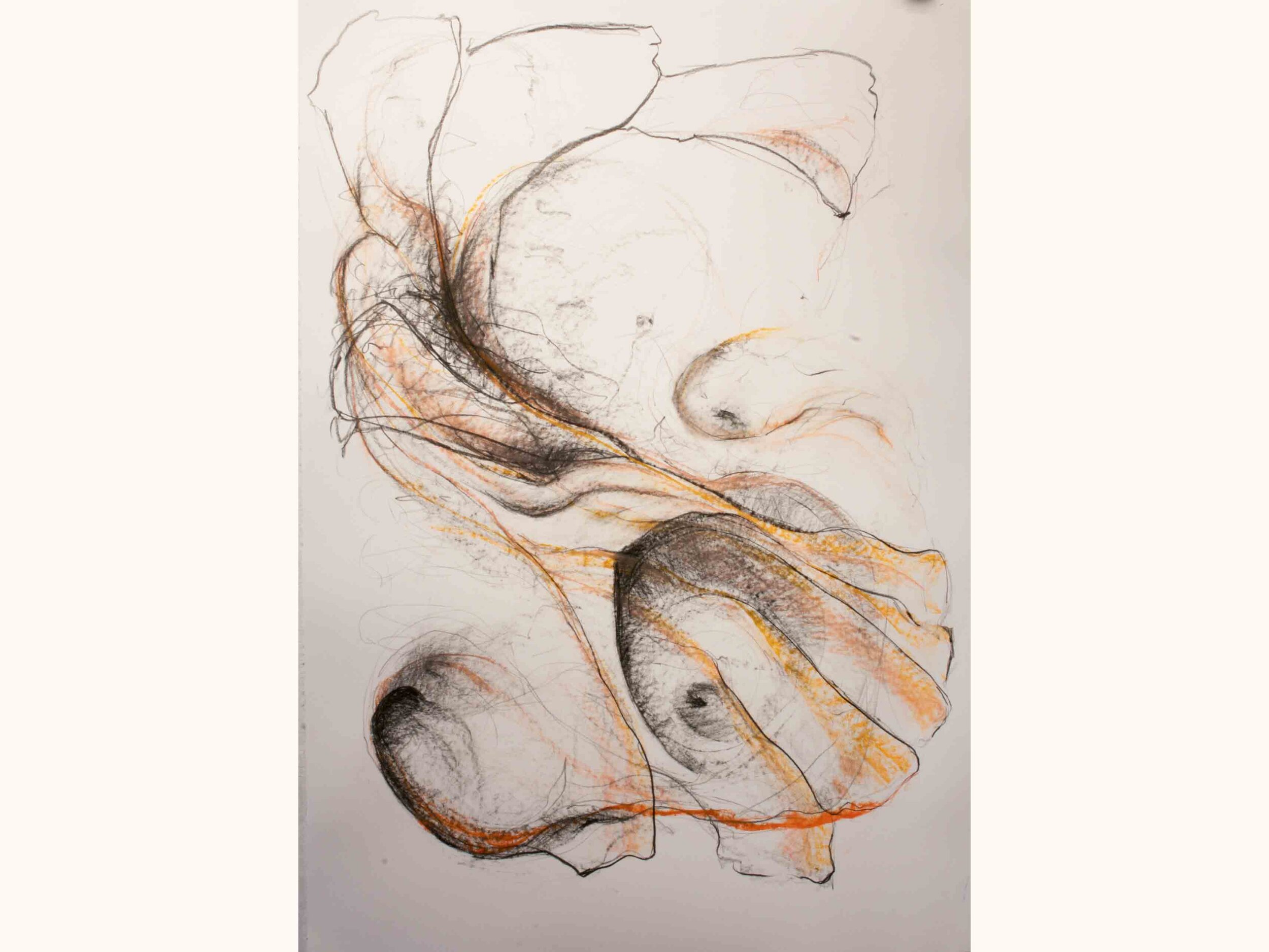 2018, Untitled 5