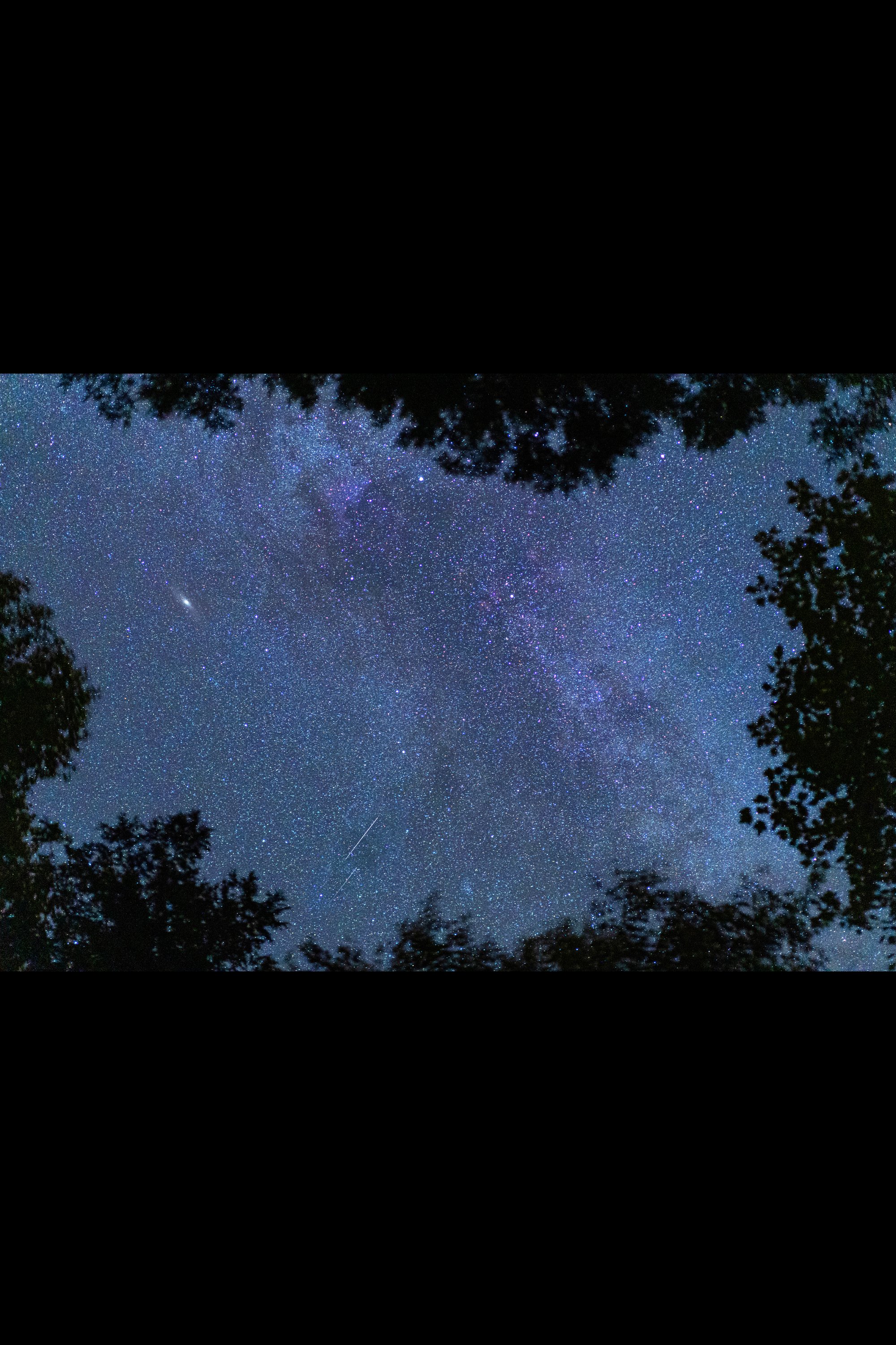 Andromeda-Resized.jpg