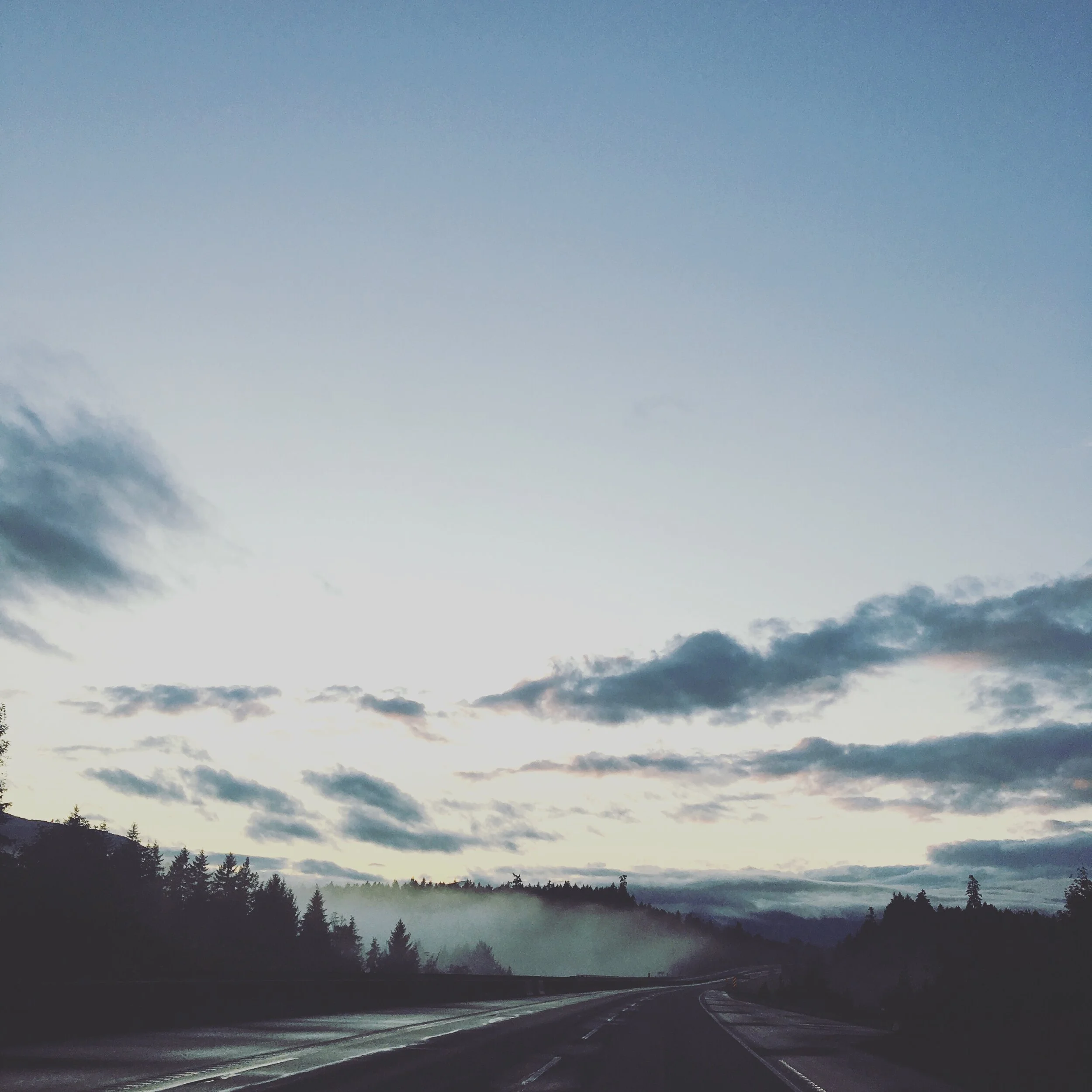 Isolation Diaries Day One. Landed;