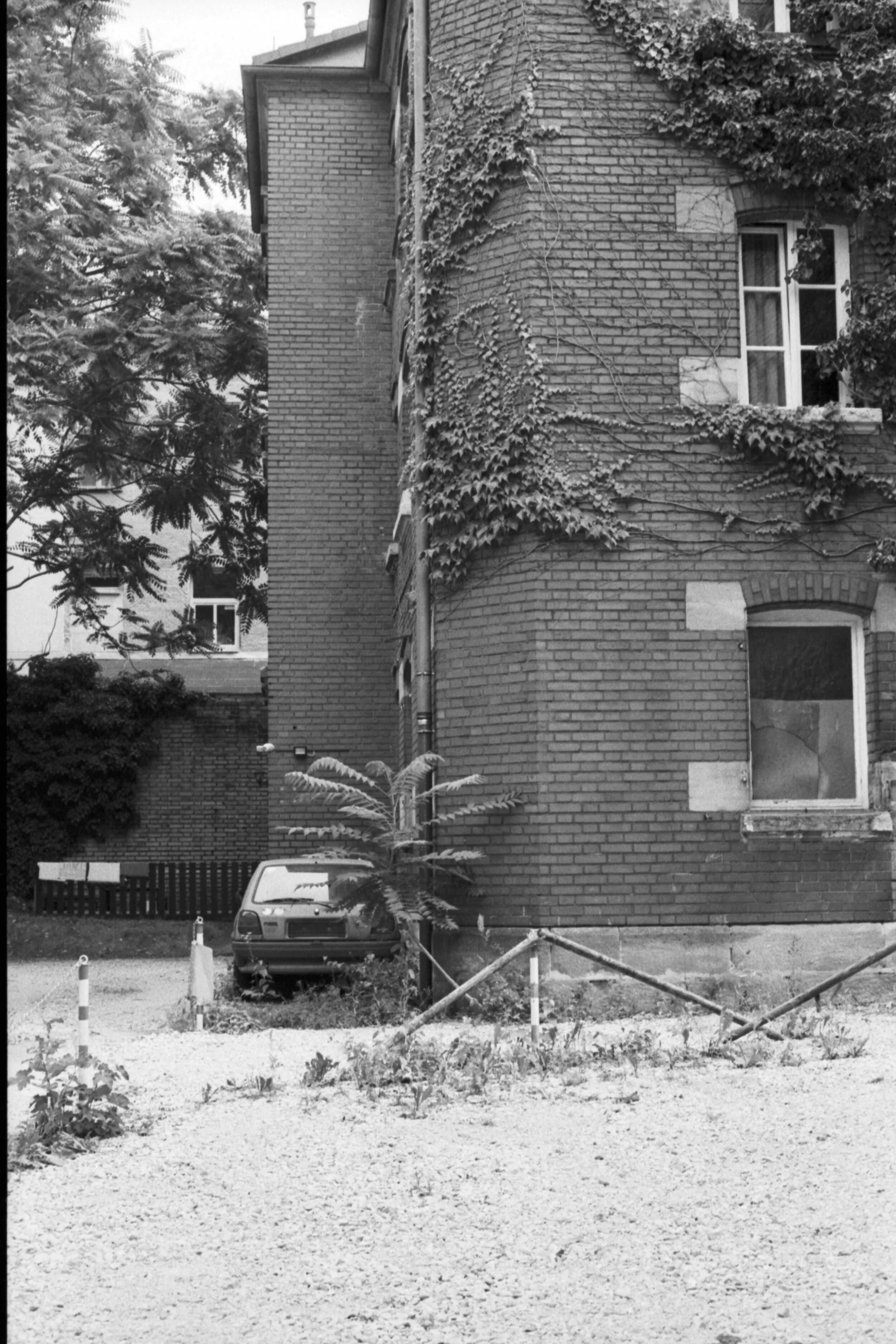 135-19-037_KODAK TRI-X 400_031.jpg