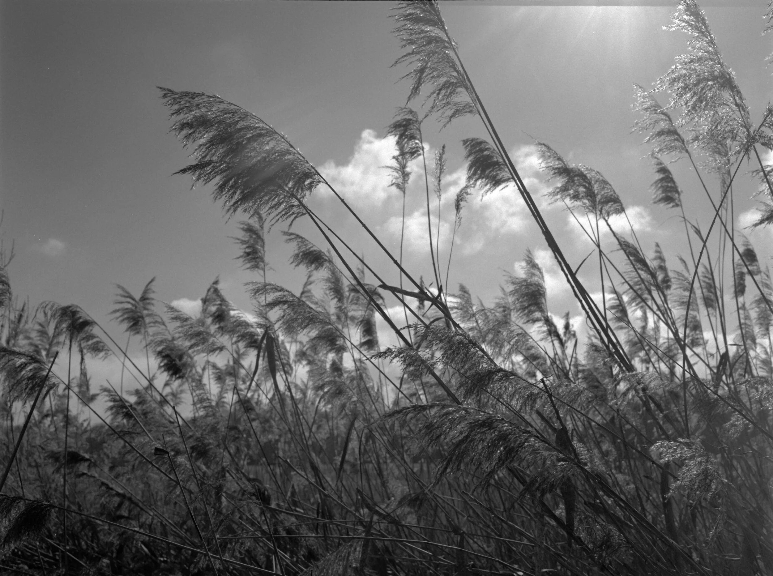 120-21-008_ILFORD HP5+ 400_007.jpg