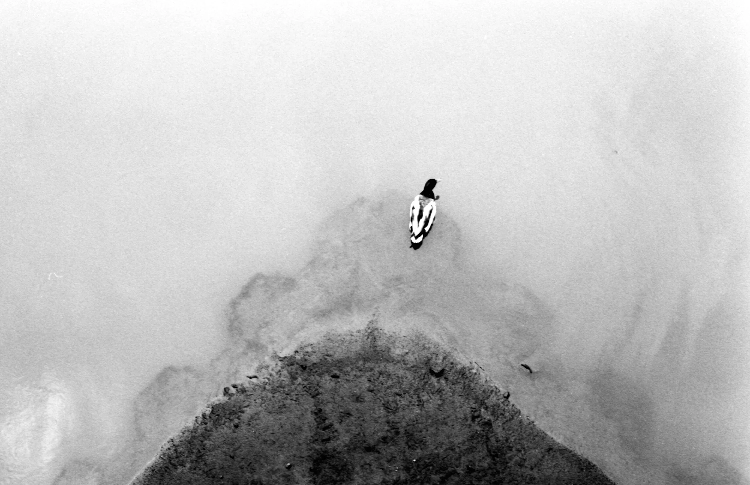 068_KODAK TMAX 400_016.jpg