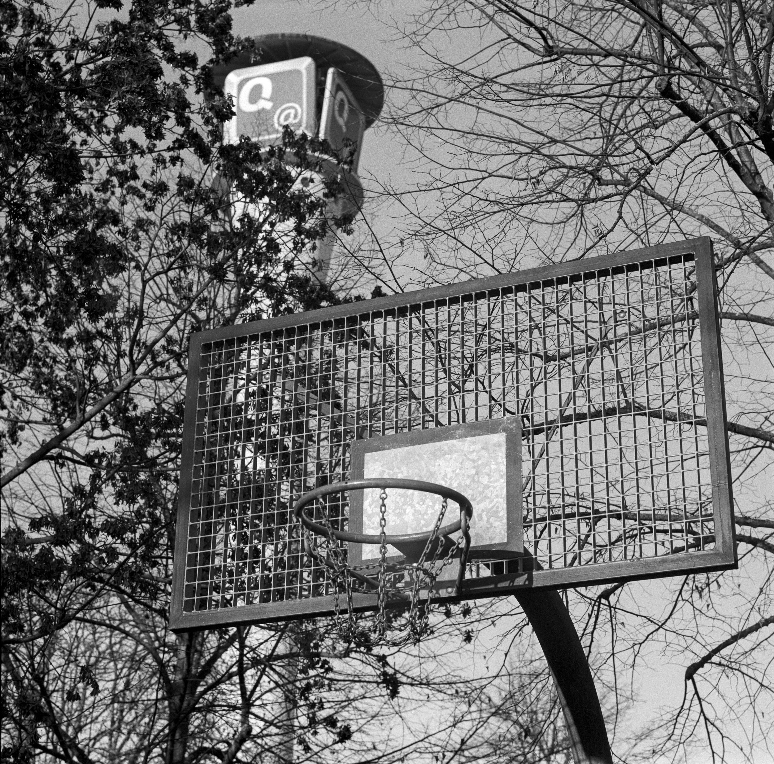 120-20-036_ILFORD HP5+ 400_002.jpg