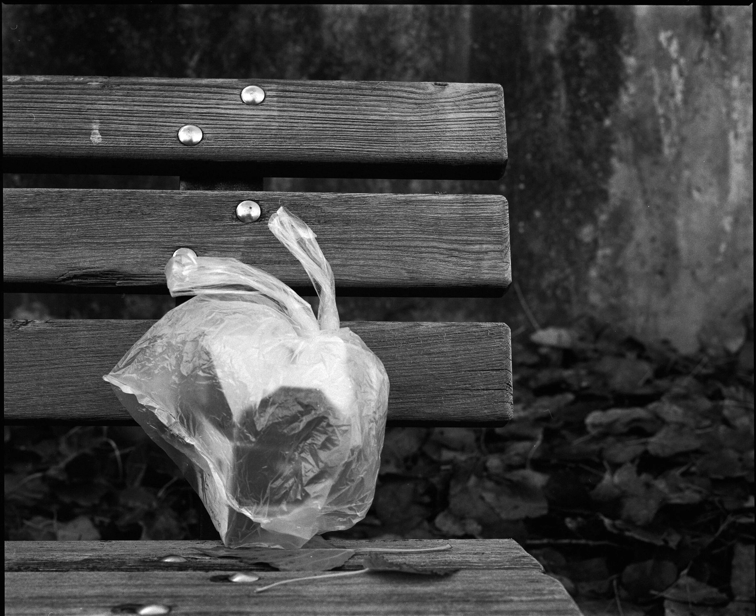 120-20-037_ILFORD HP5+ 400_003.jpg