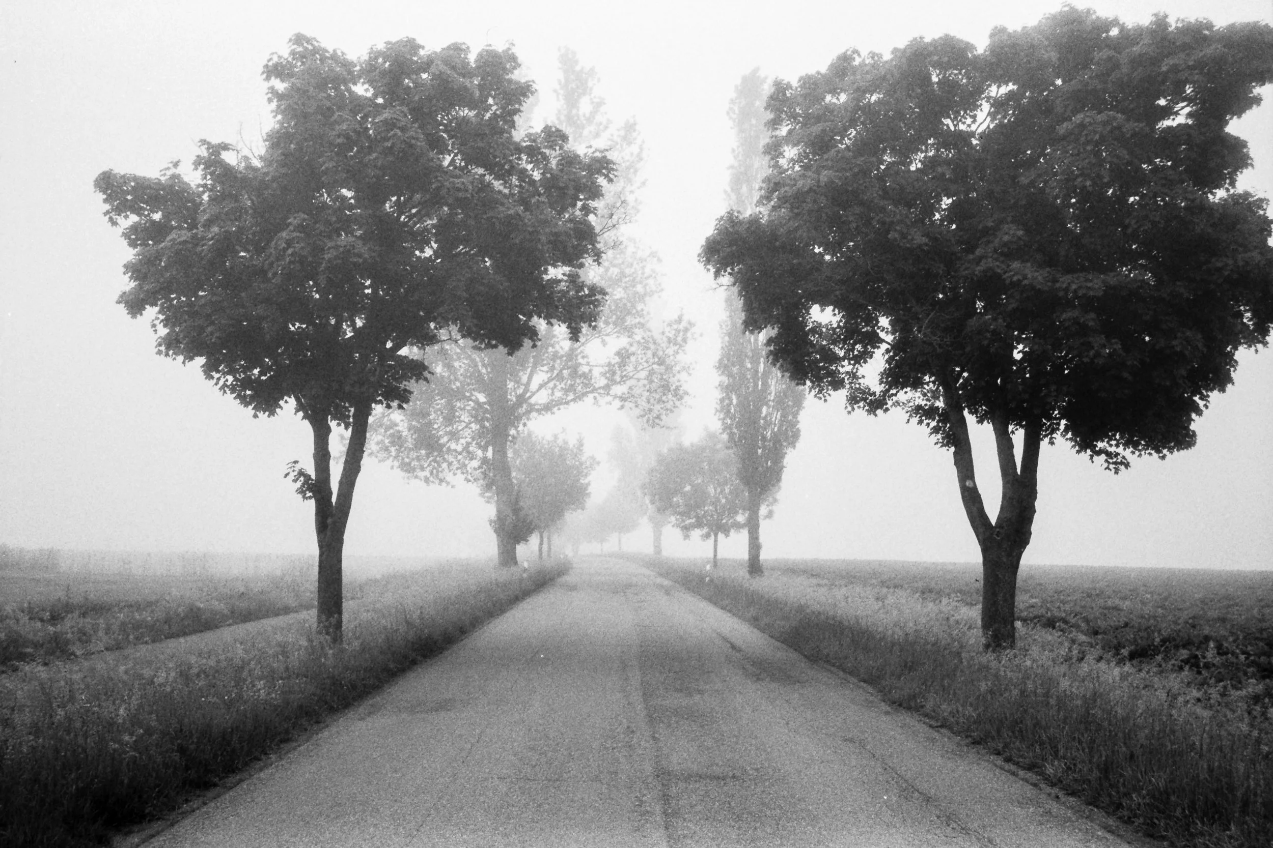 135-21-051_AGFA APX 100_001.jpg