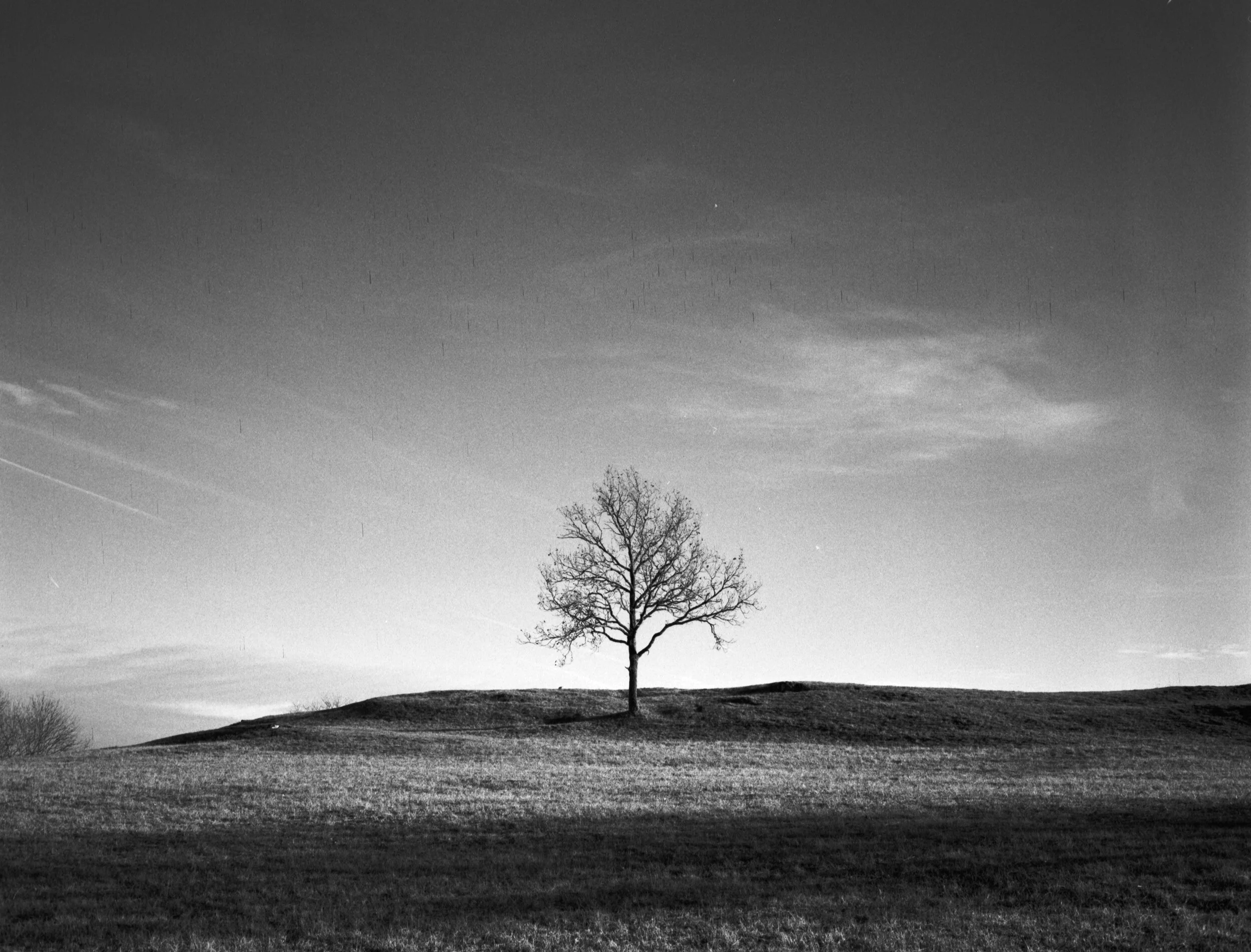 034_FOMAPAN 100 PRO_011.jpg