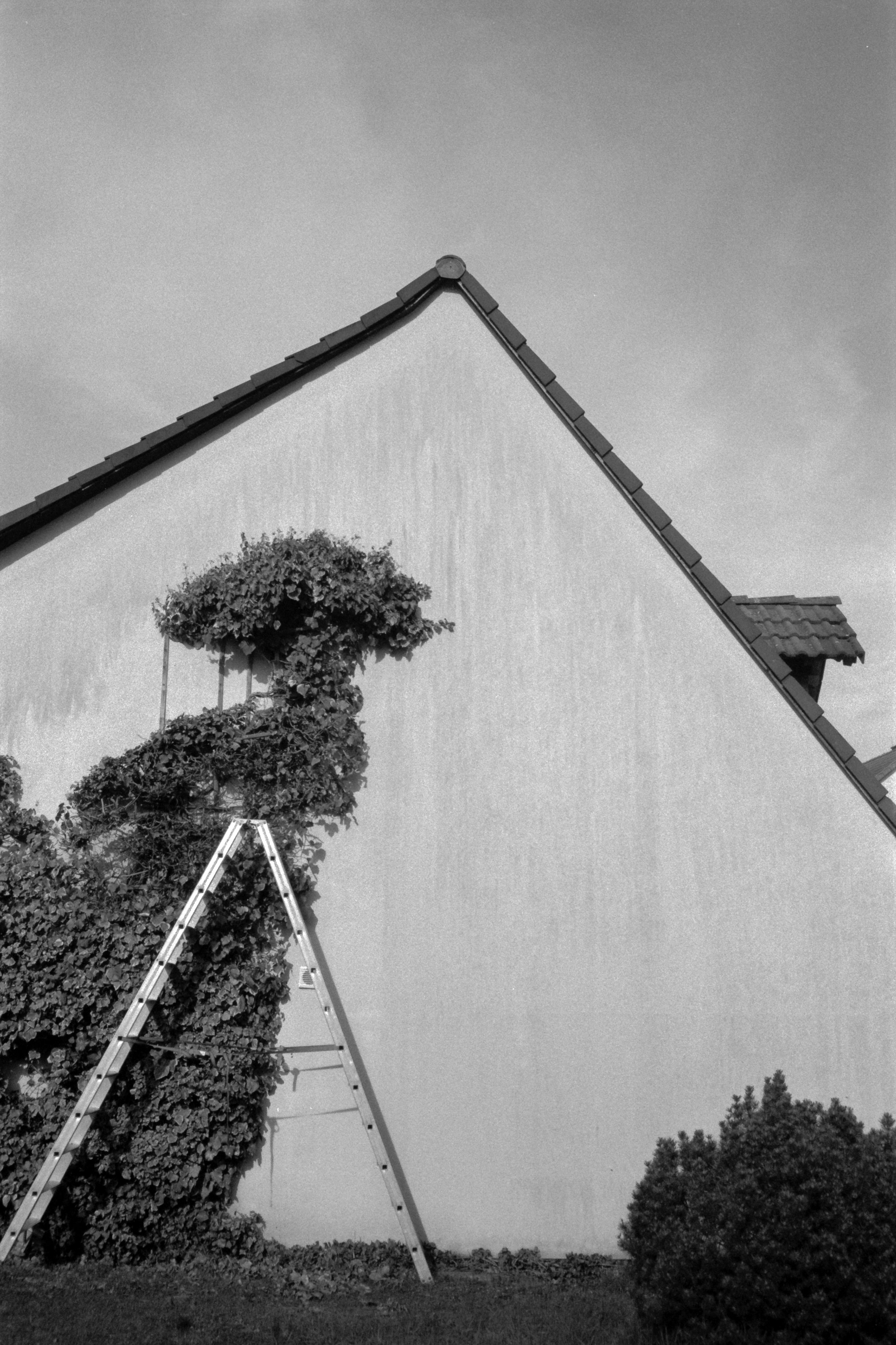 135-21-030_AGFA APX 100_008.jpg