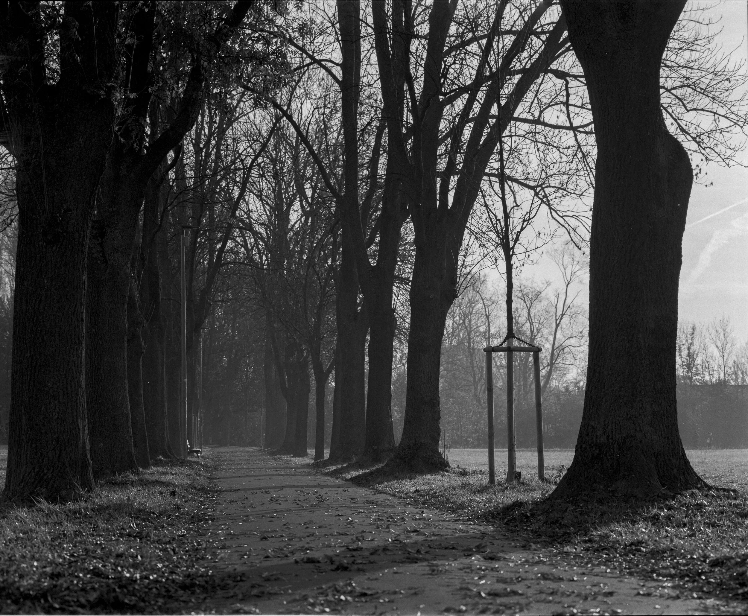 120-20-037_ILFORD HP5+ 400_008.jpg