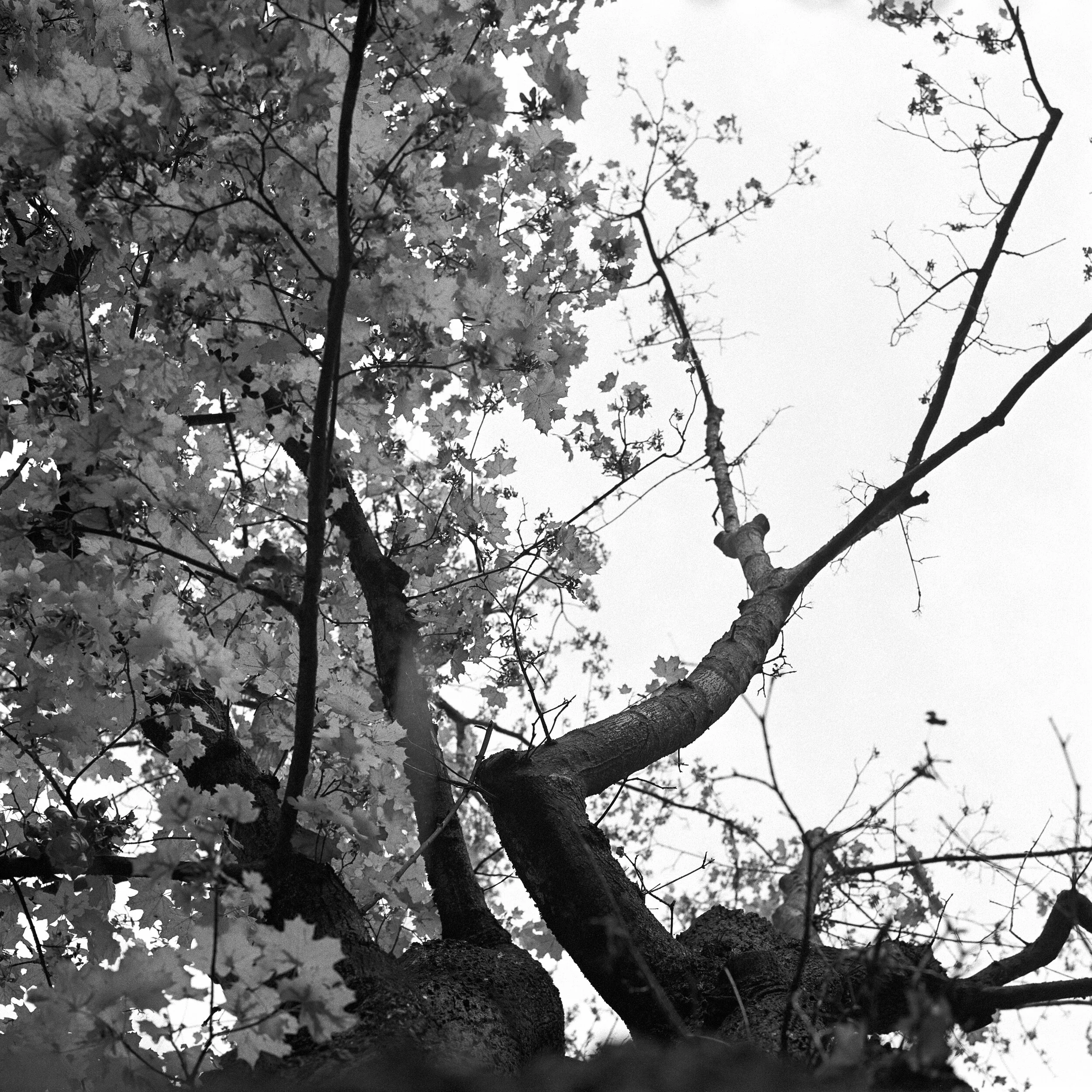 120-20-027_ILFORD HP5+ 400_007.jpg