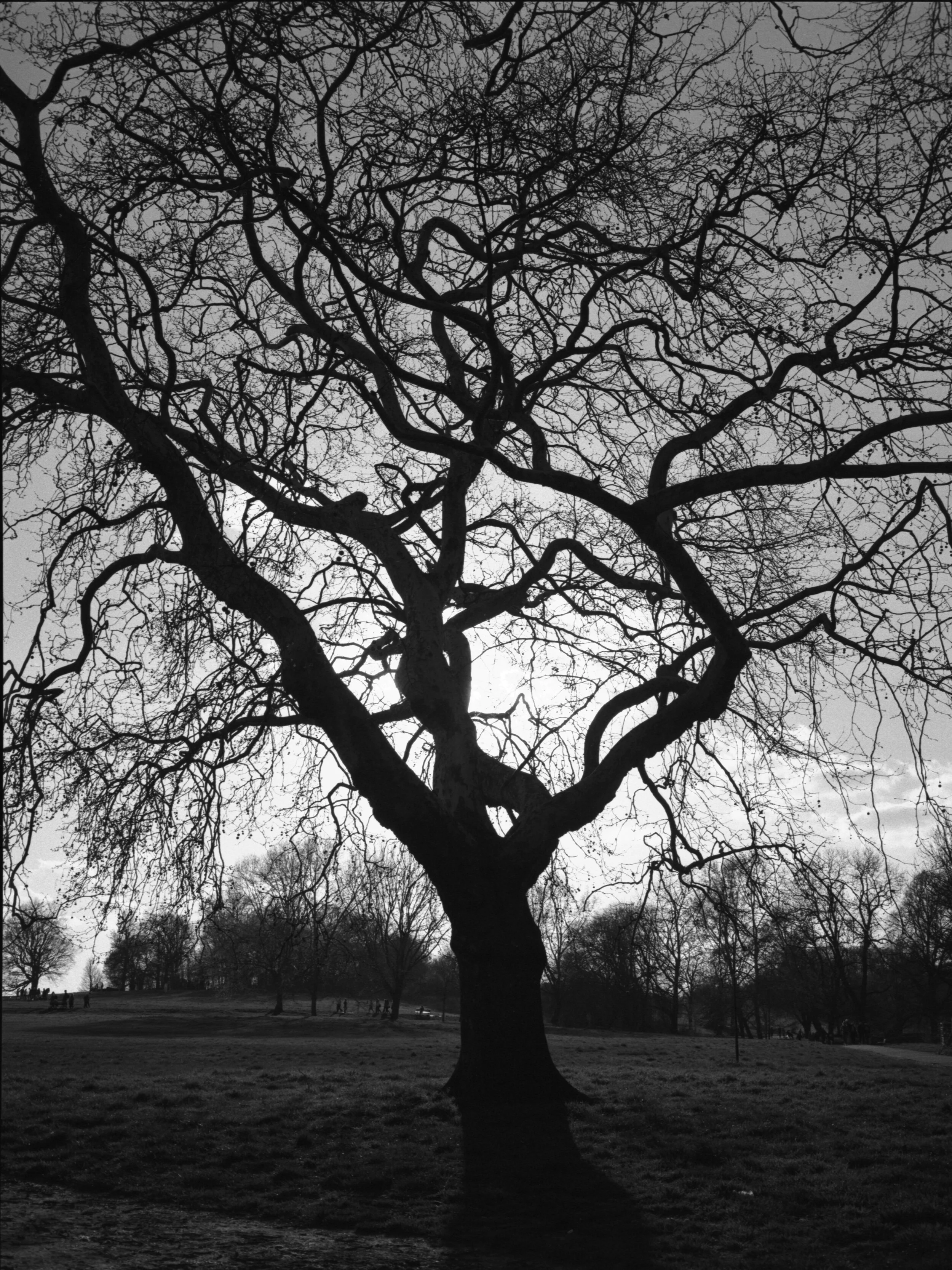 120-19-016_ILFORD HP5 400_002.jpg