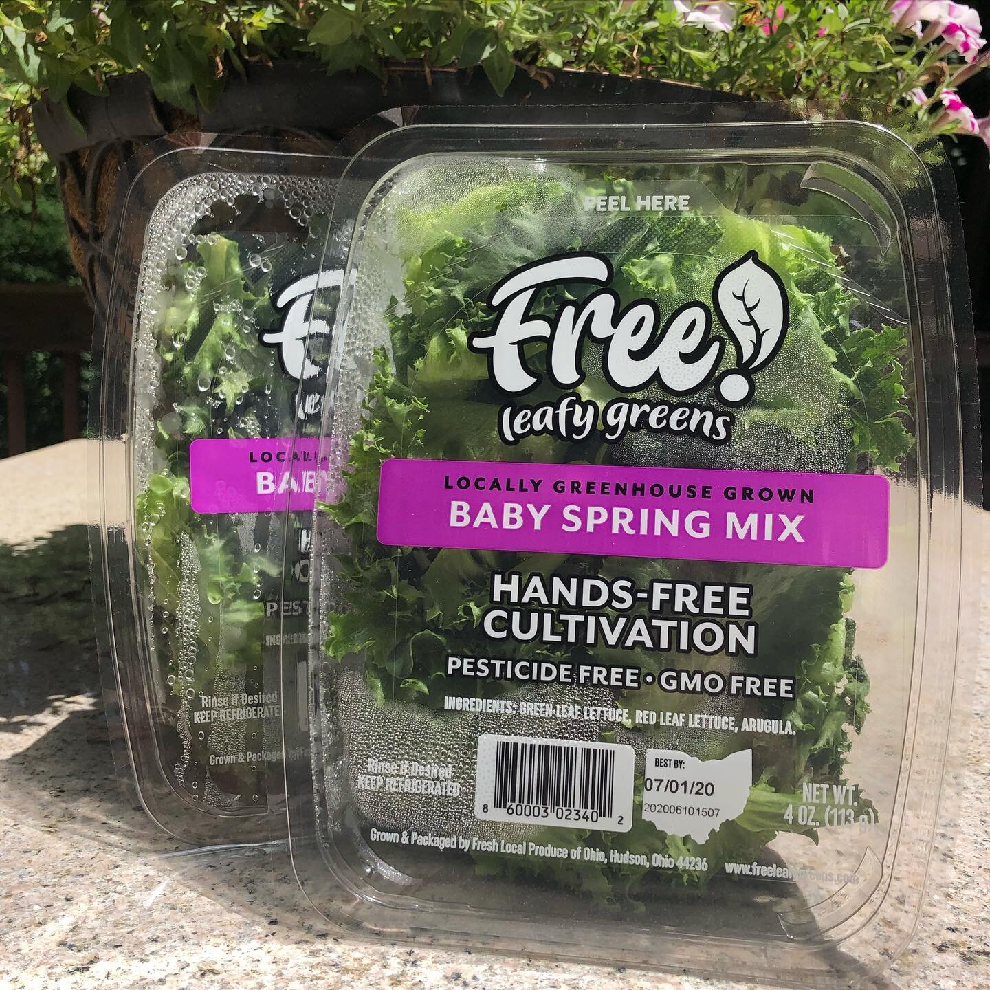 Safe from seeding to packaging &bull; These leafy greens journey through an automated system from seed to leaf! #handsfreecultivation to give you peace of mind 🌱

#foodsafety #ohiolocal #ohiofarm #shoplocal #freshproduce