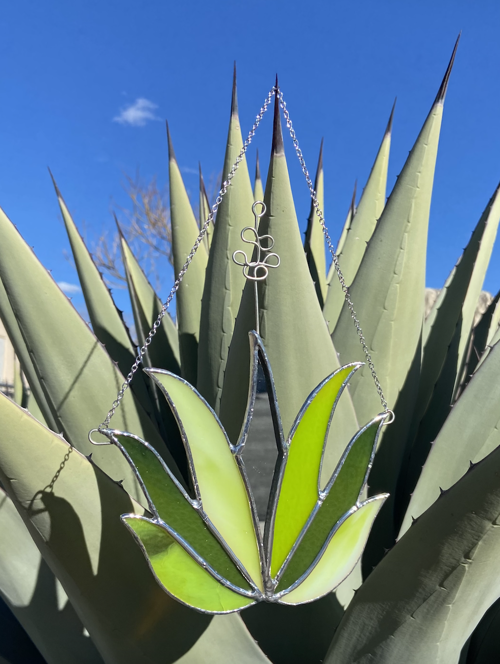 Agave Bloom 2.png