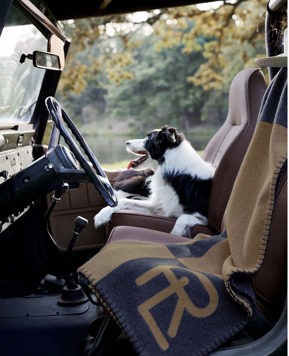 Screen Shot 2020-07-26 at 3.02.11 PM.png