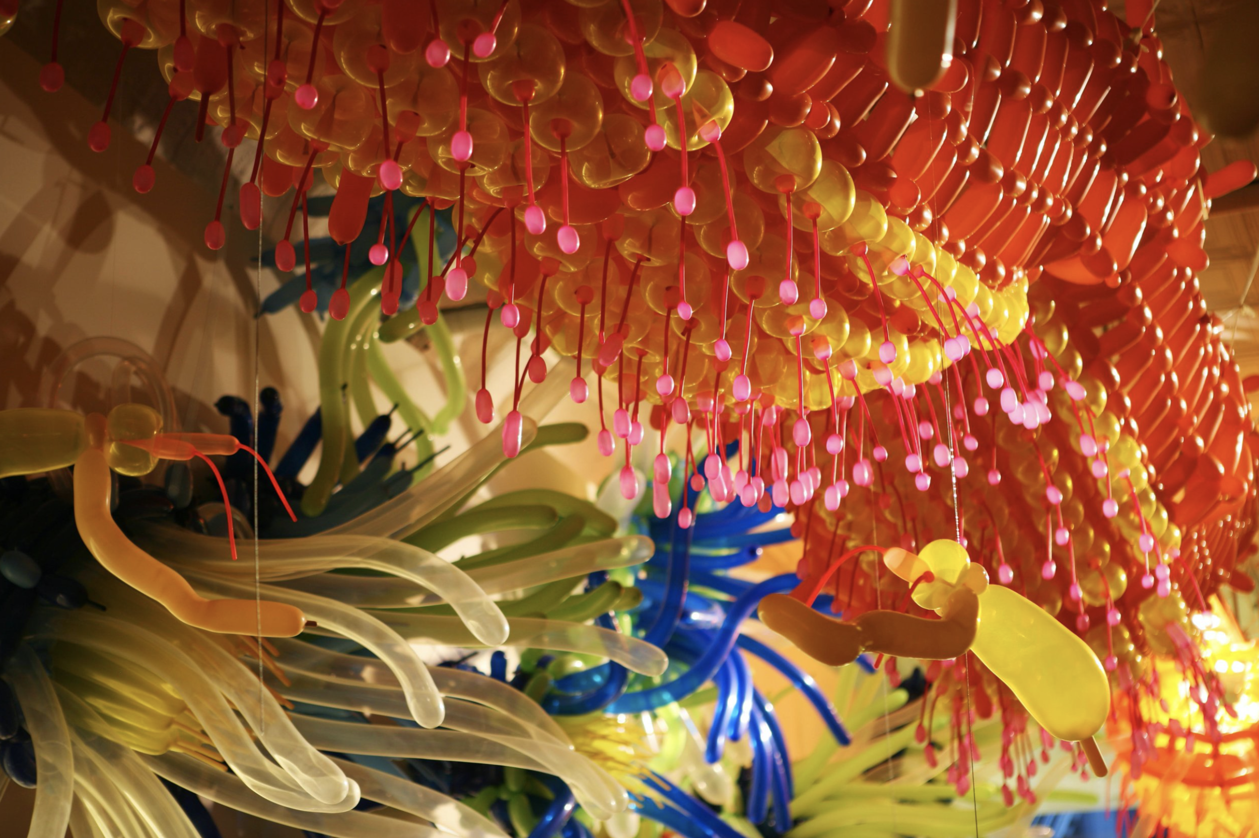 Screen Shot 2020-08-06 at 11.01.39 AM.png