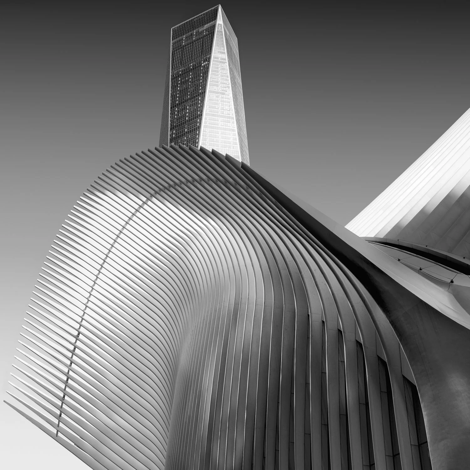 23.BETWEENTHE LINES.GEOTECTURE.FLAT.R6.jpg