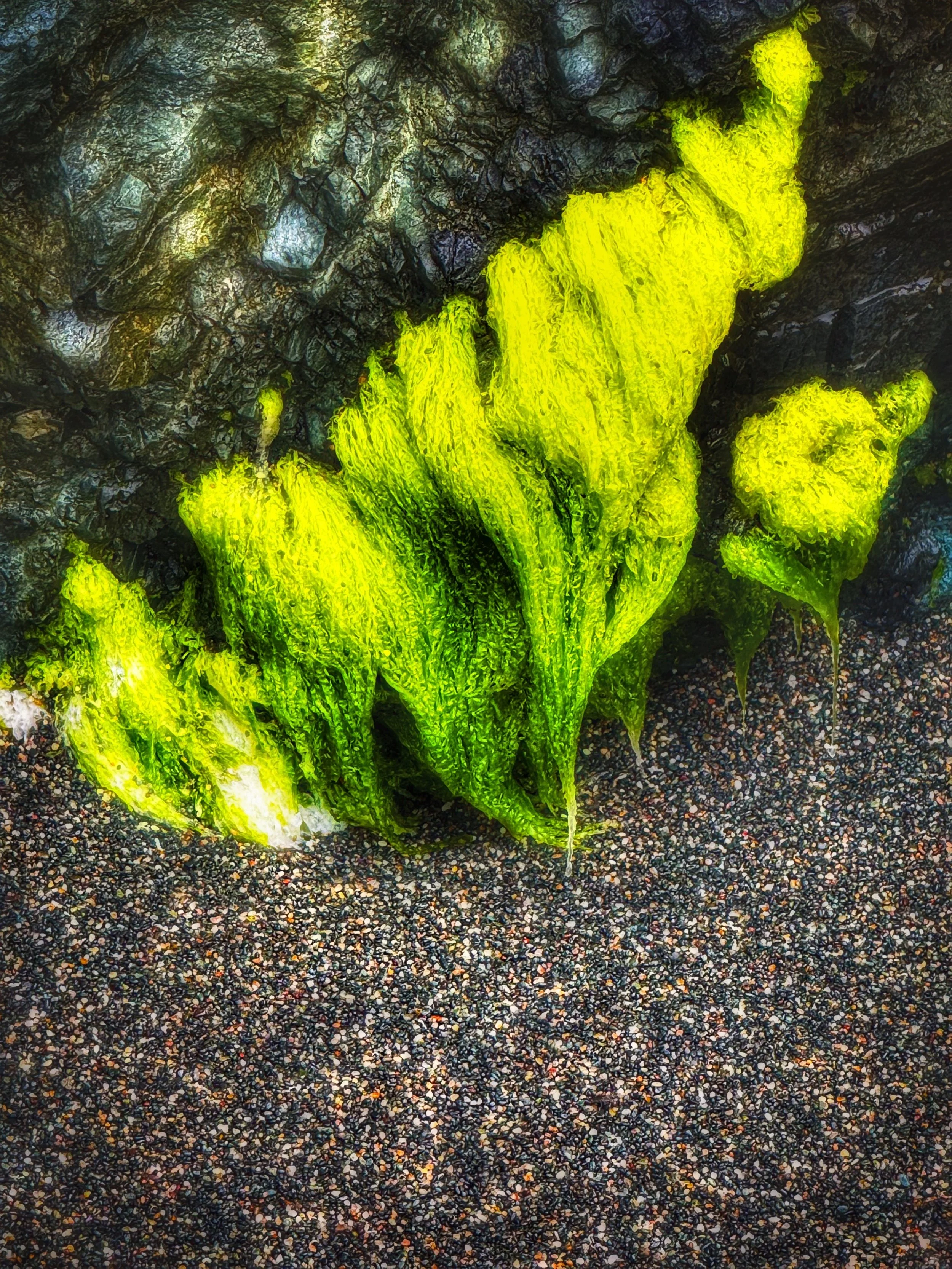 Composition in Green and Grey