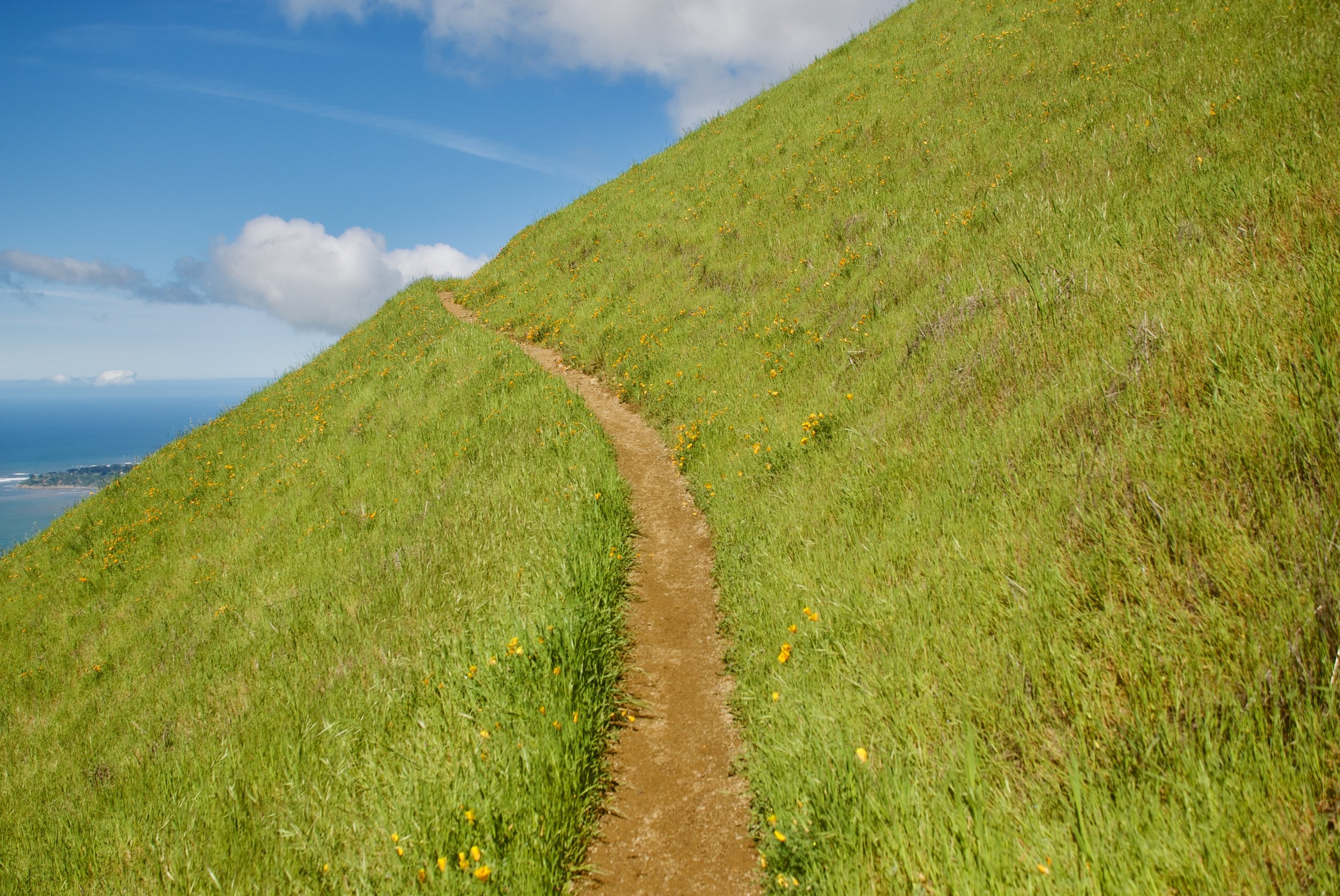 Coastal Trail