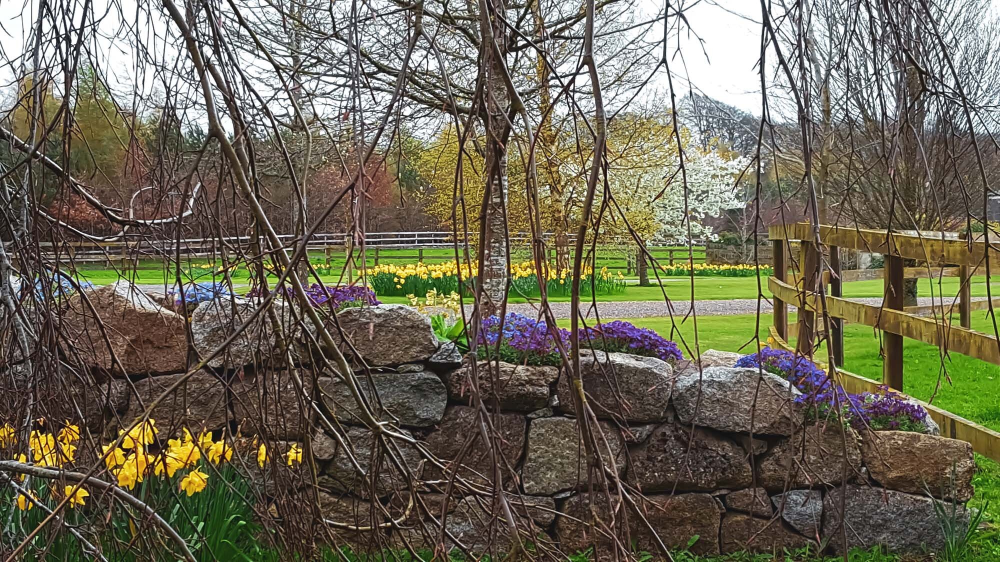 county-kildare-4-seasons-garden-paddock.jpg