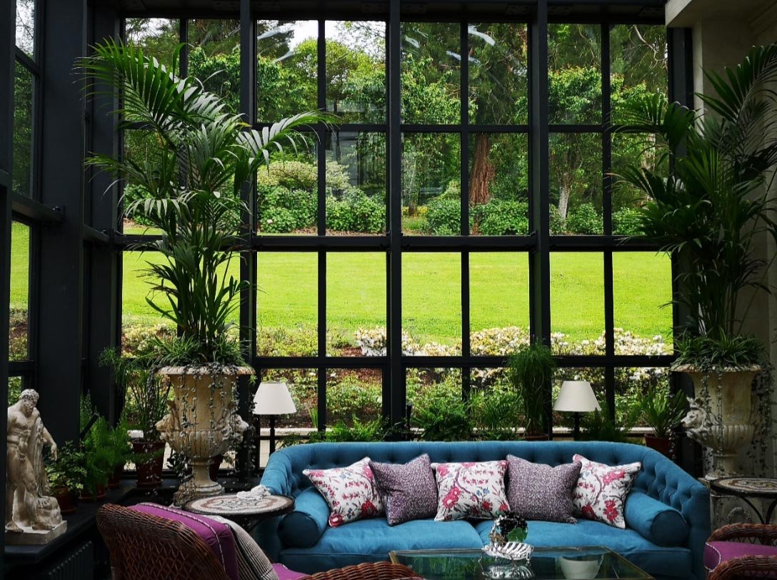 Sunlight filtering through a forest with tall trees and purple flowers growing among green foliage.