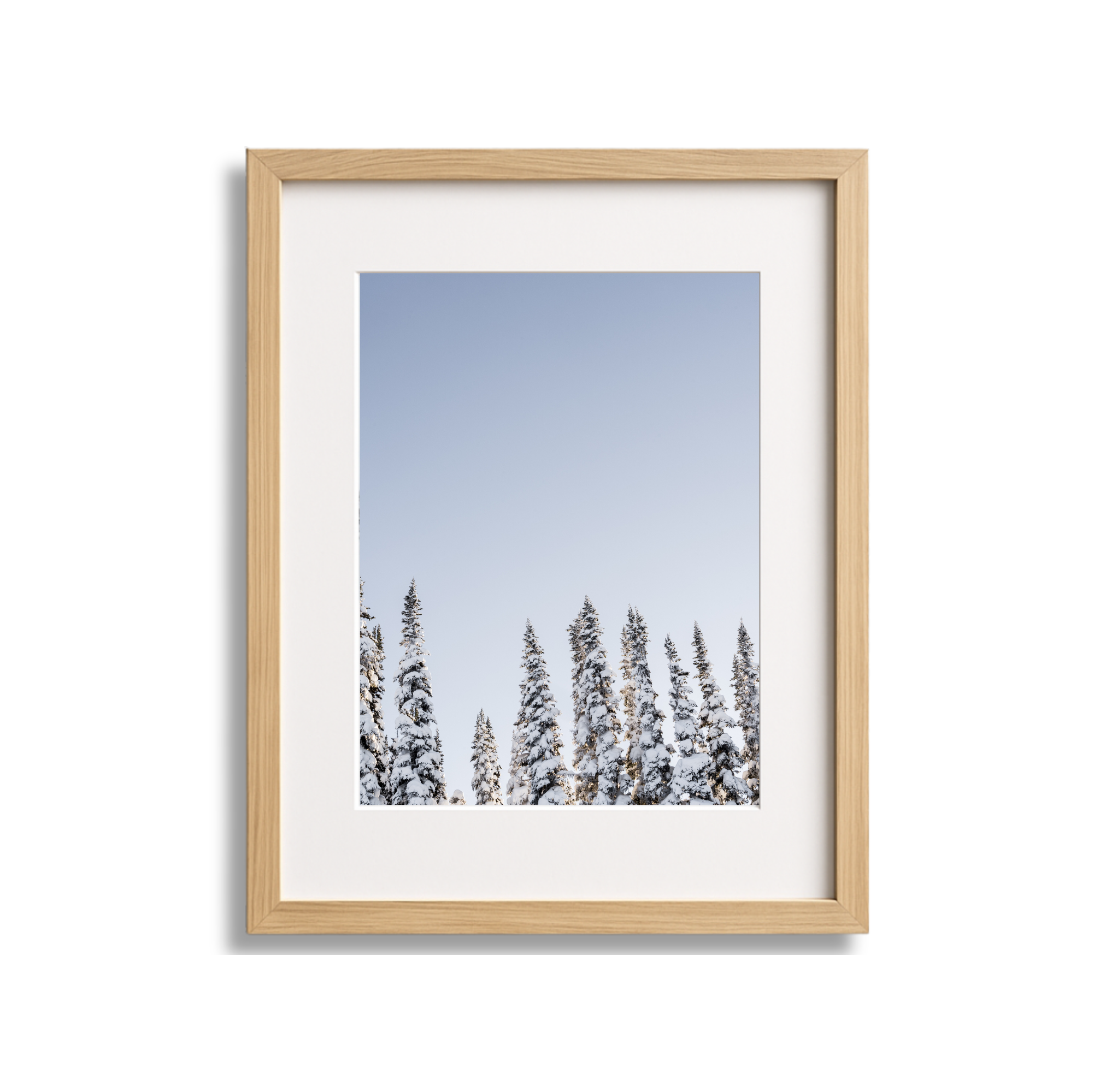 Framed photograph of snow-covered pine trees against a clear blue sky.