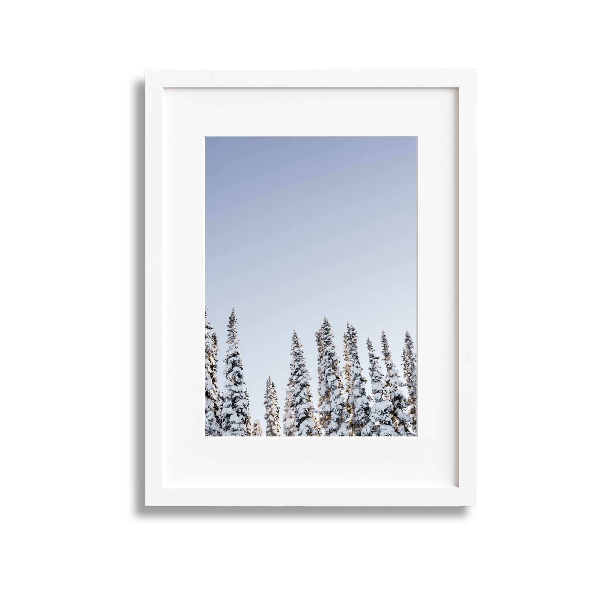 Framed photograph of snow-covered pine trees against a clear blue sky.