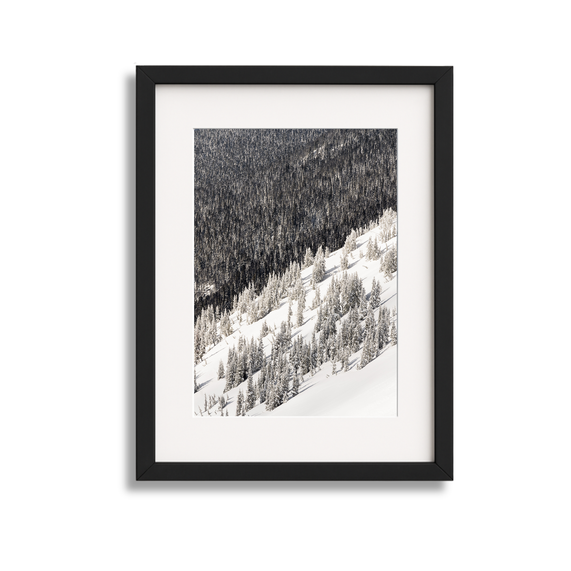 Framed photograph of snow-covered pine trees on a mountain slope.