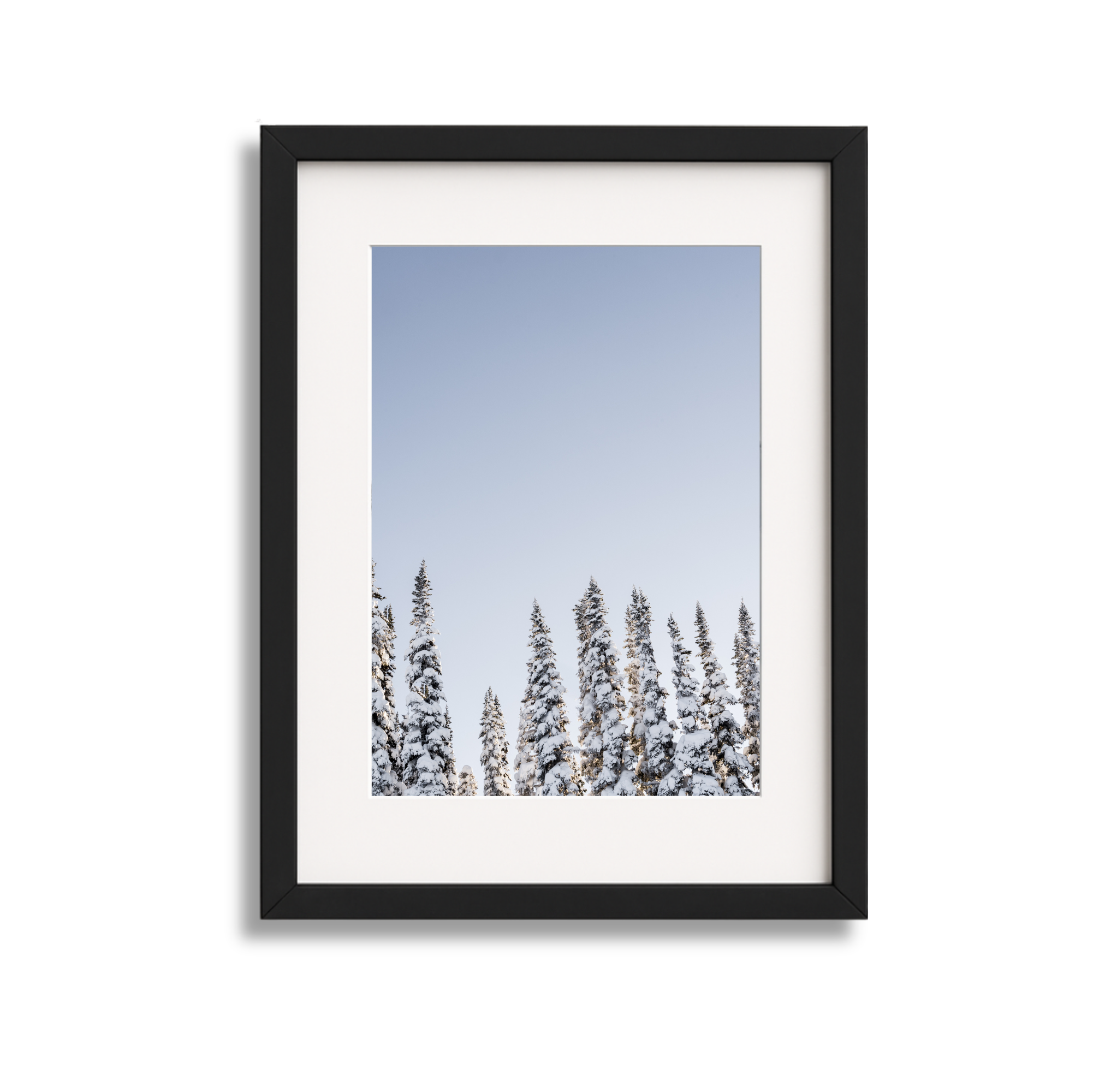 Framed photograph of snow-covered pine trees against a clear blue sky.