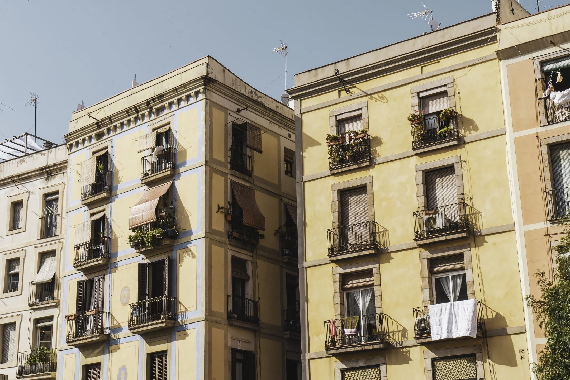 Photography, Gratitude, and Mental Health.