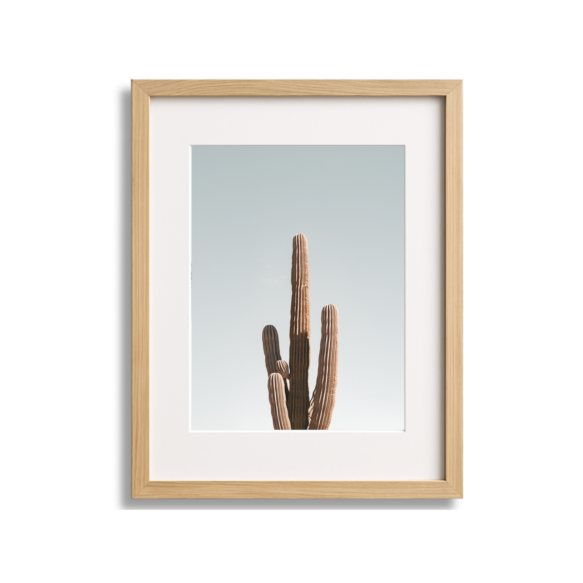 Print of a tall cactus plant in front of a light sky background, framed in wood.