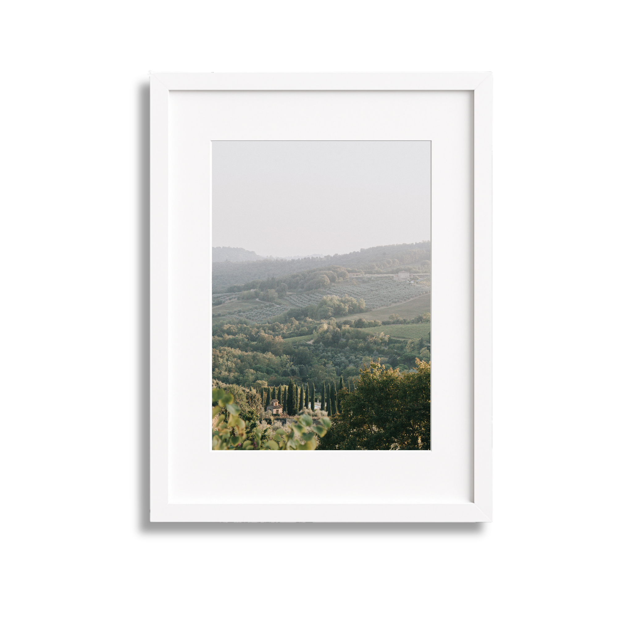 Scenic view of rolling hills and green vineyards through a white picture frame.