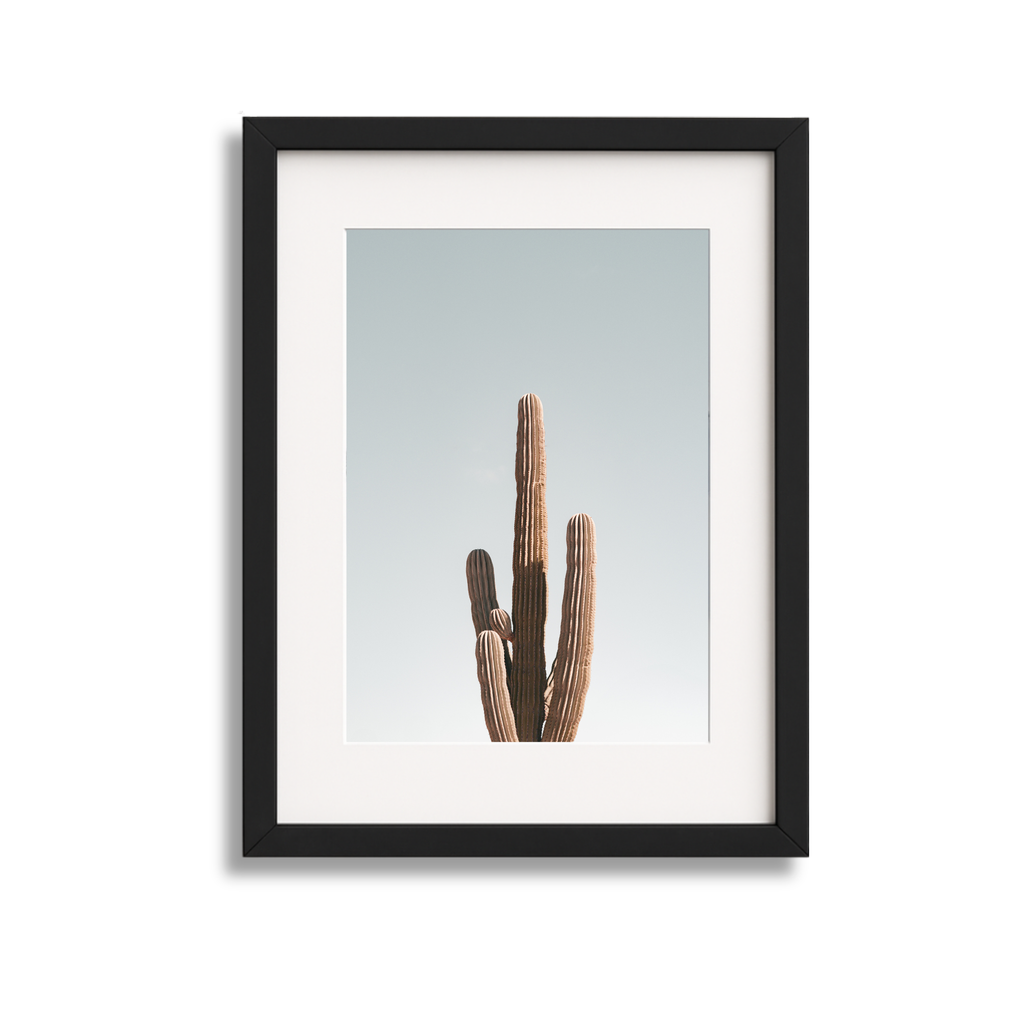 Framed photograph of a tall desert cactus against a pale blue sky.