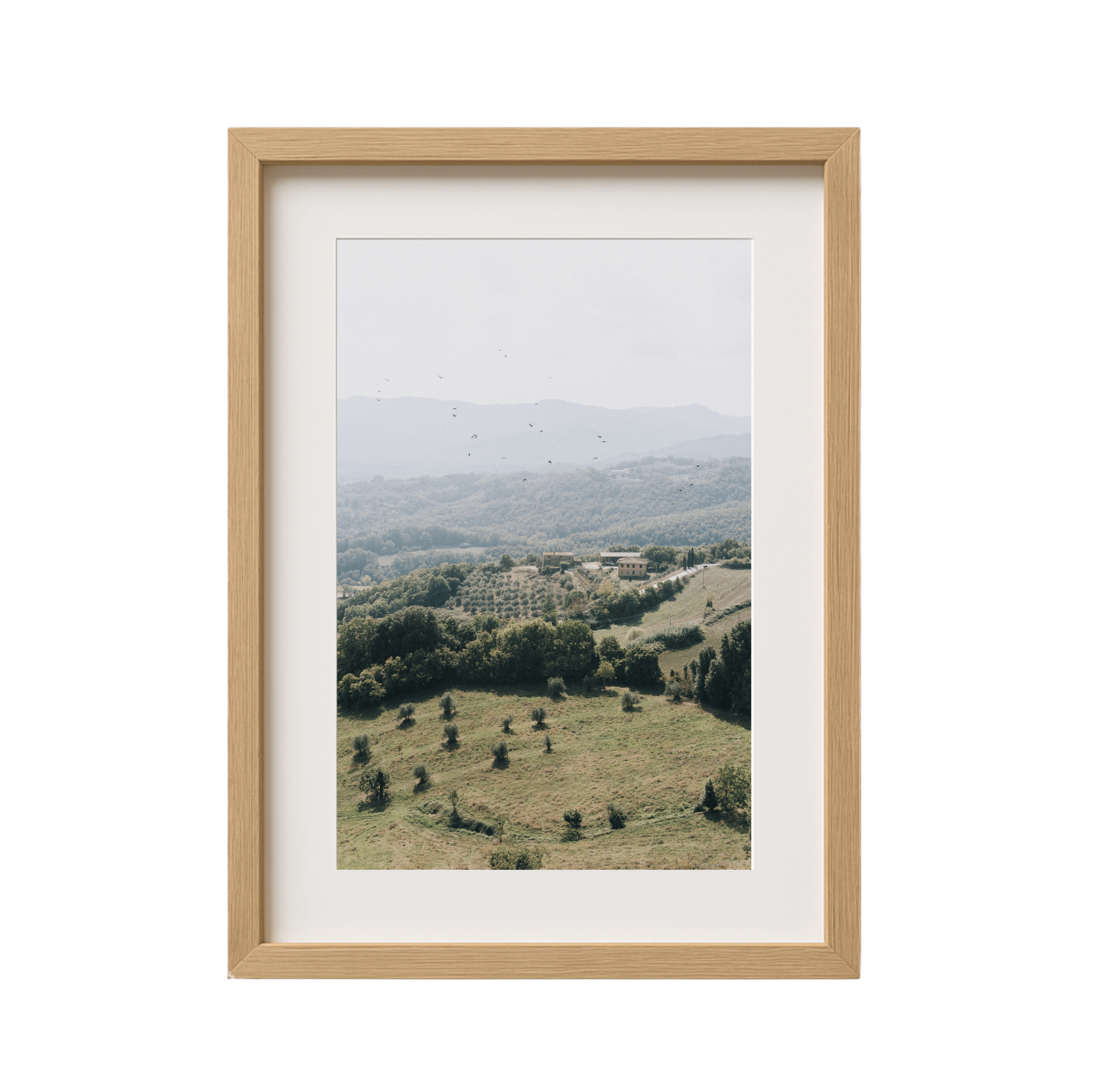 Tuscan Hills