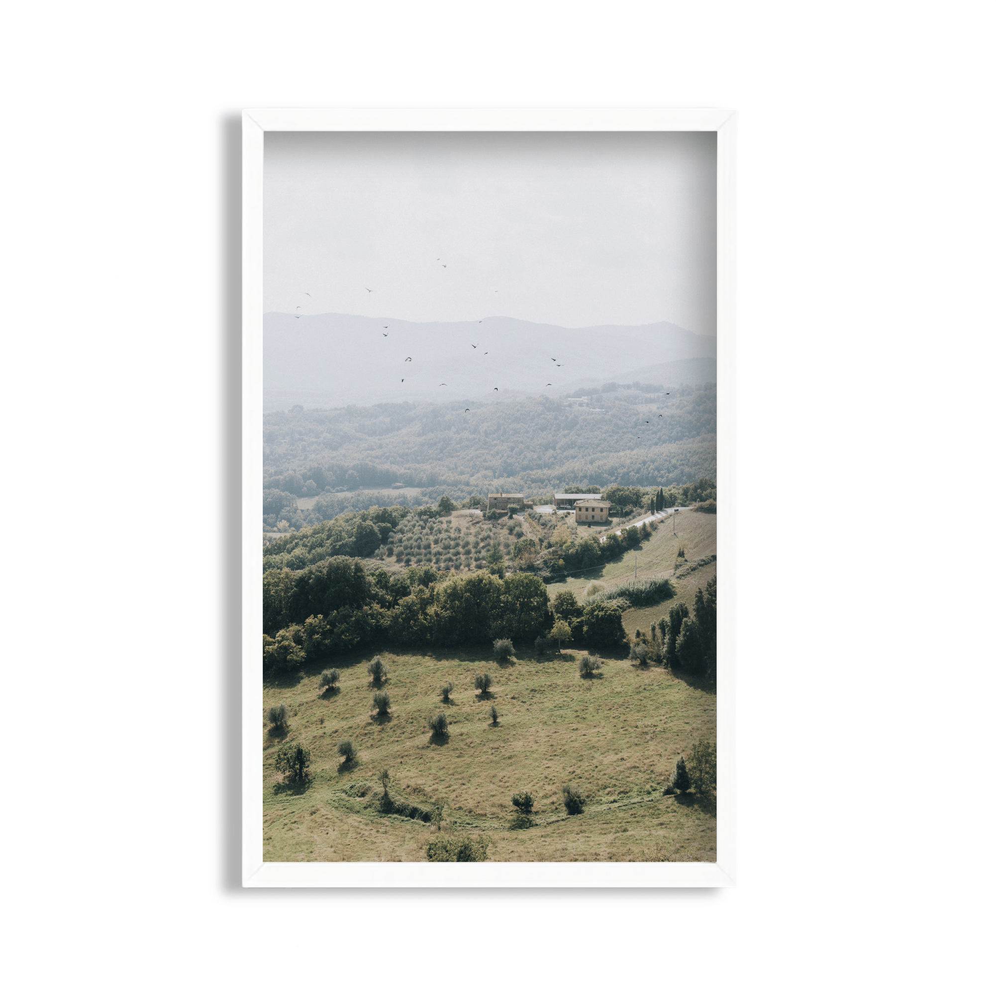 Tuscan Hills
