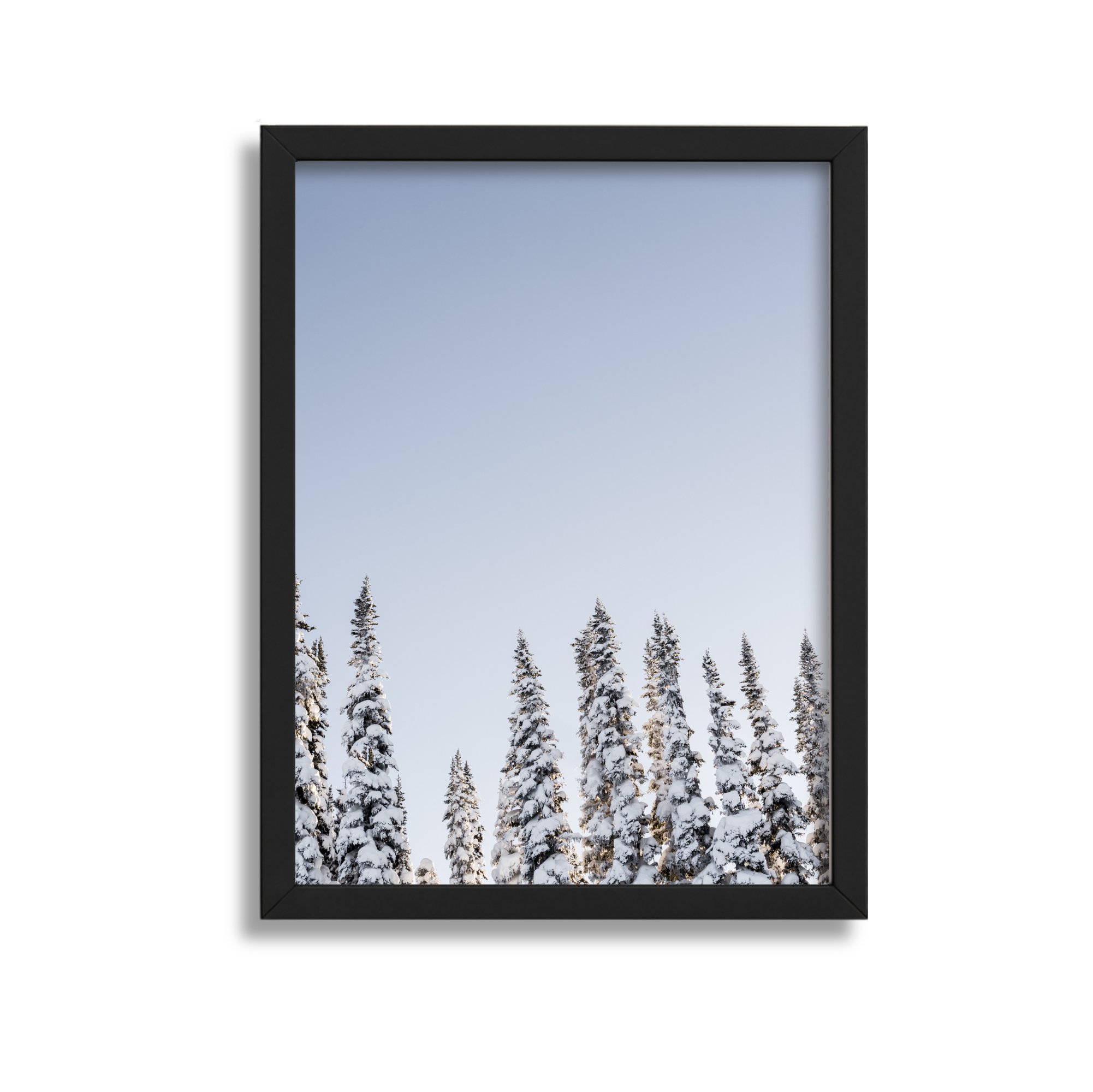 Framed landscape photograph of snow-covered pine trees against a clear blue sky.