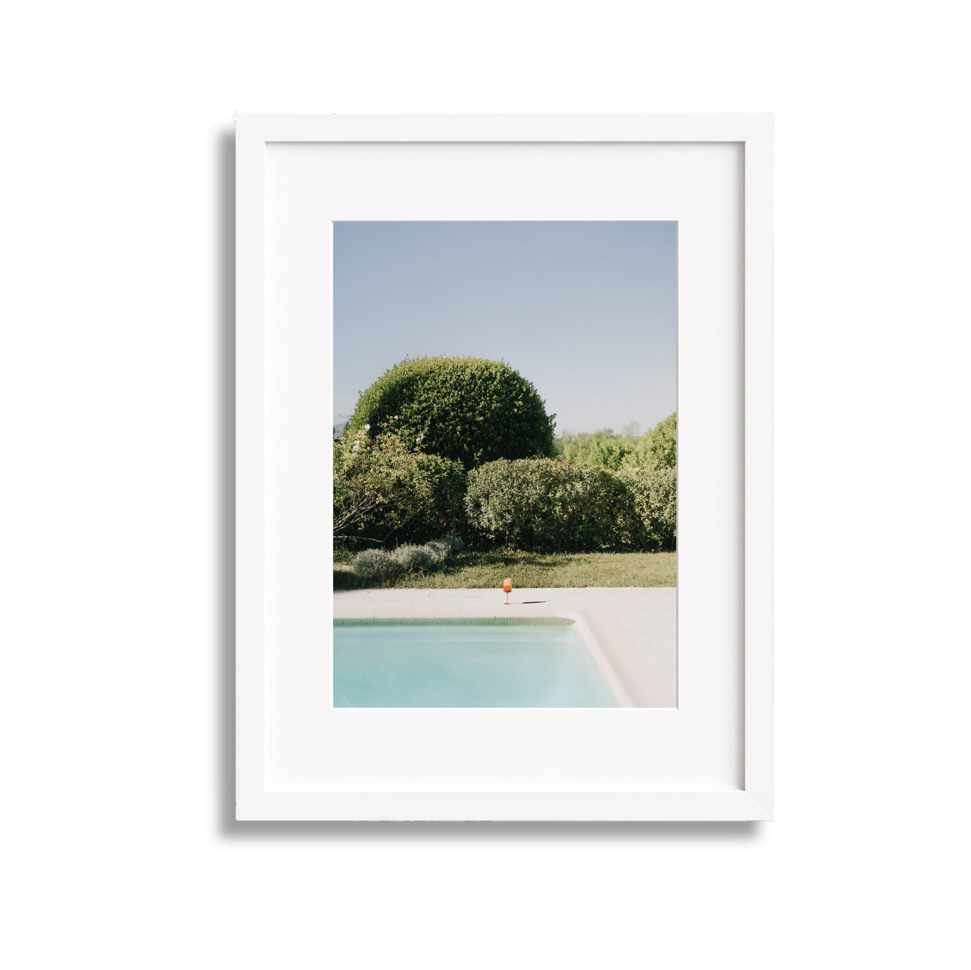 Framed photograph of a backyard with a swimming pool, lush green bushes, and trees against a clear blue sky.
