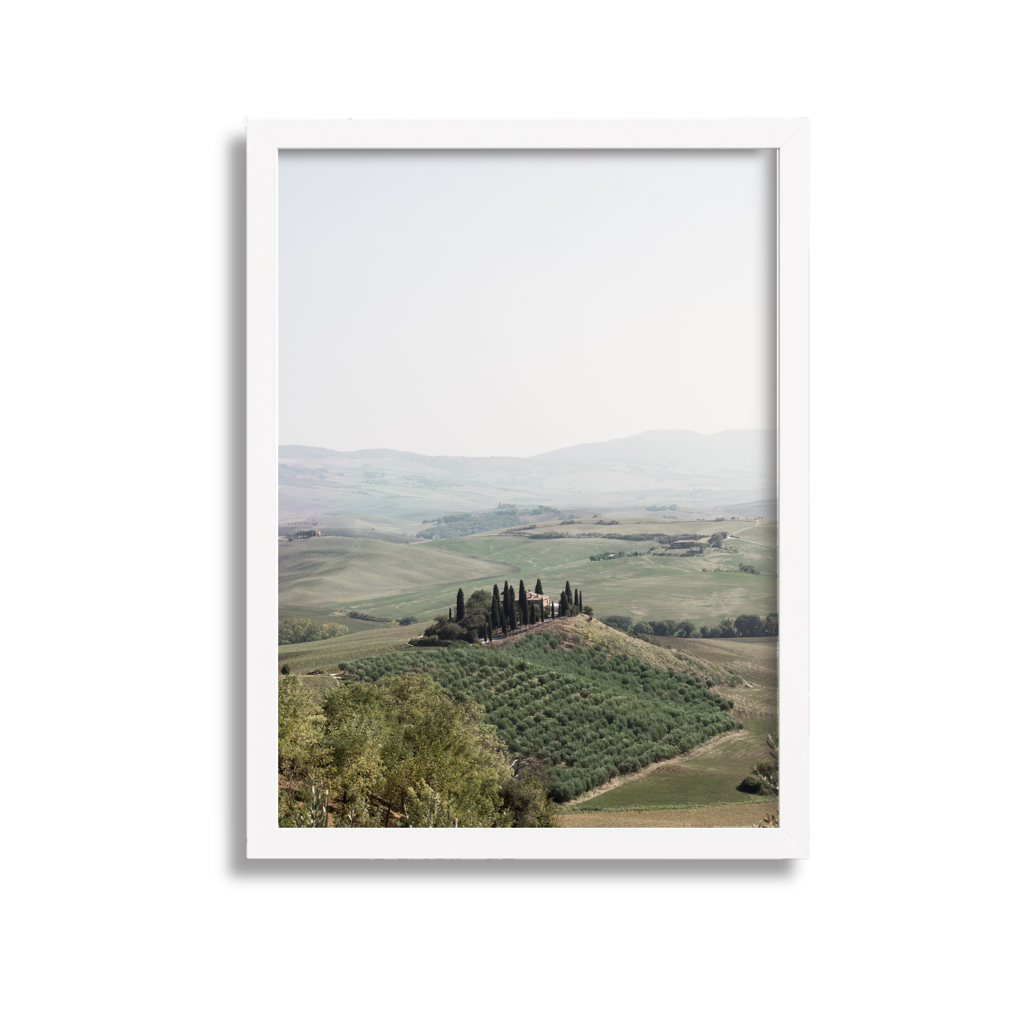 Scenic landscape of rolling green hills with a small hilltop farm surrounded by tall cypress trees, under a hazy sky.