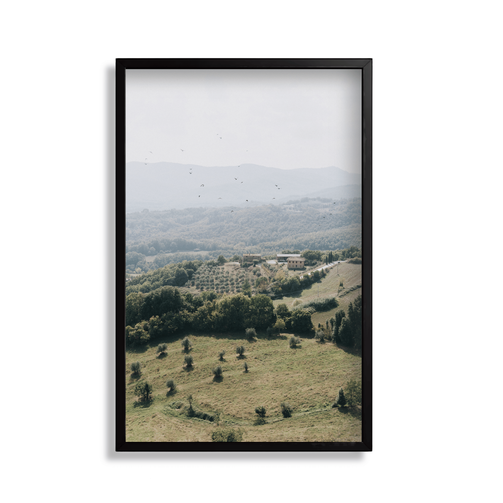 Tuscan Hills