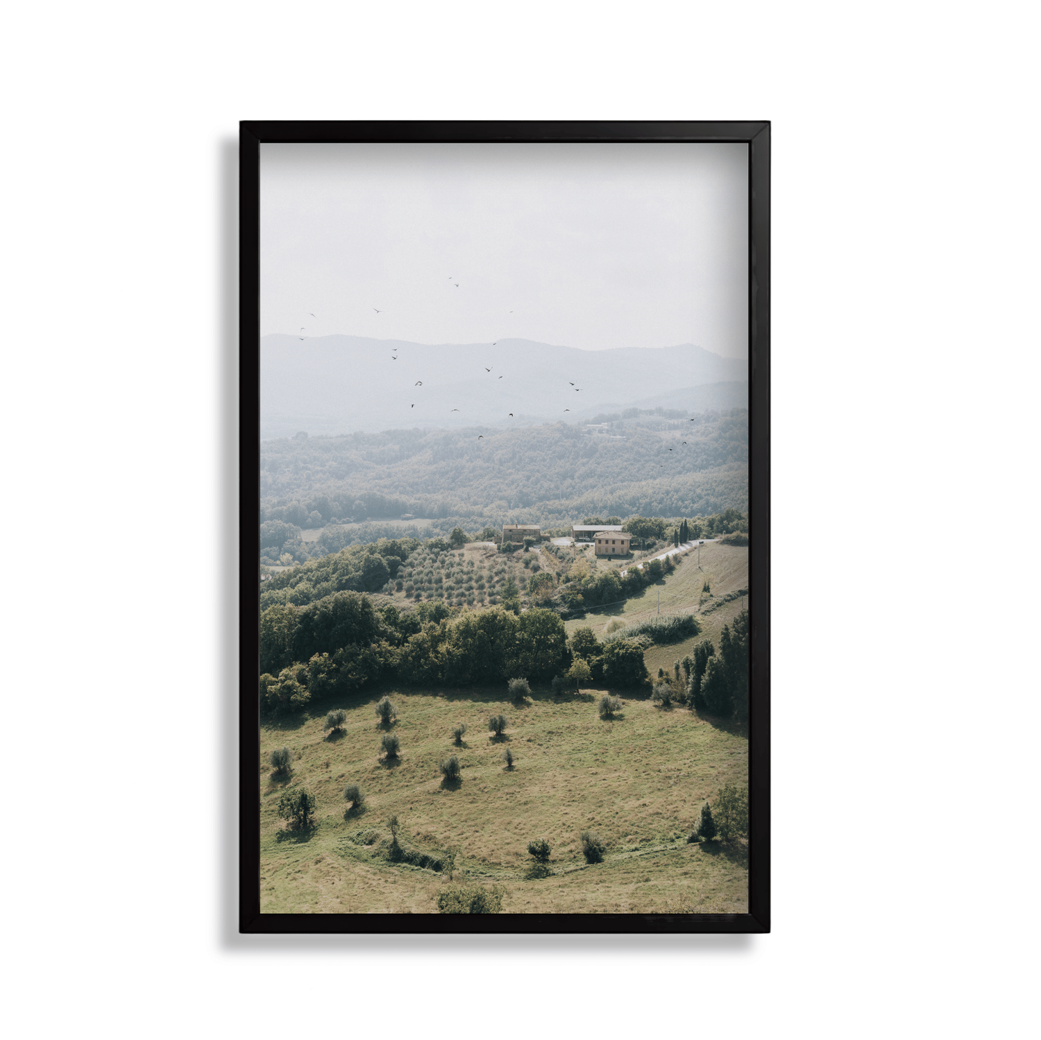Tuscan Hills