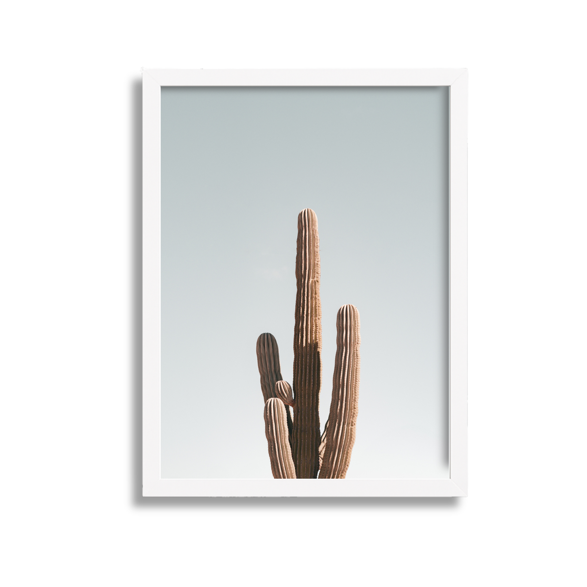 A framed photograph of a desert landscape with a clear sky, featuring tall, brown cacti.