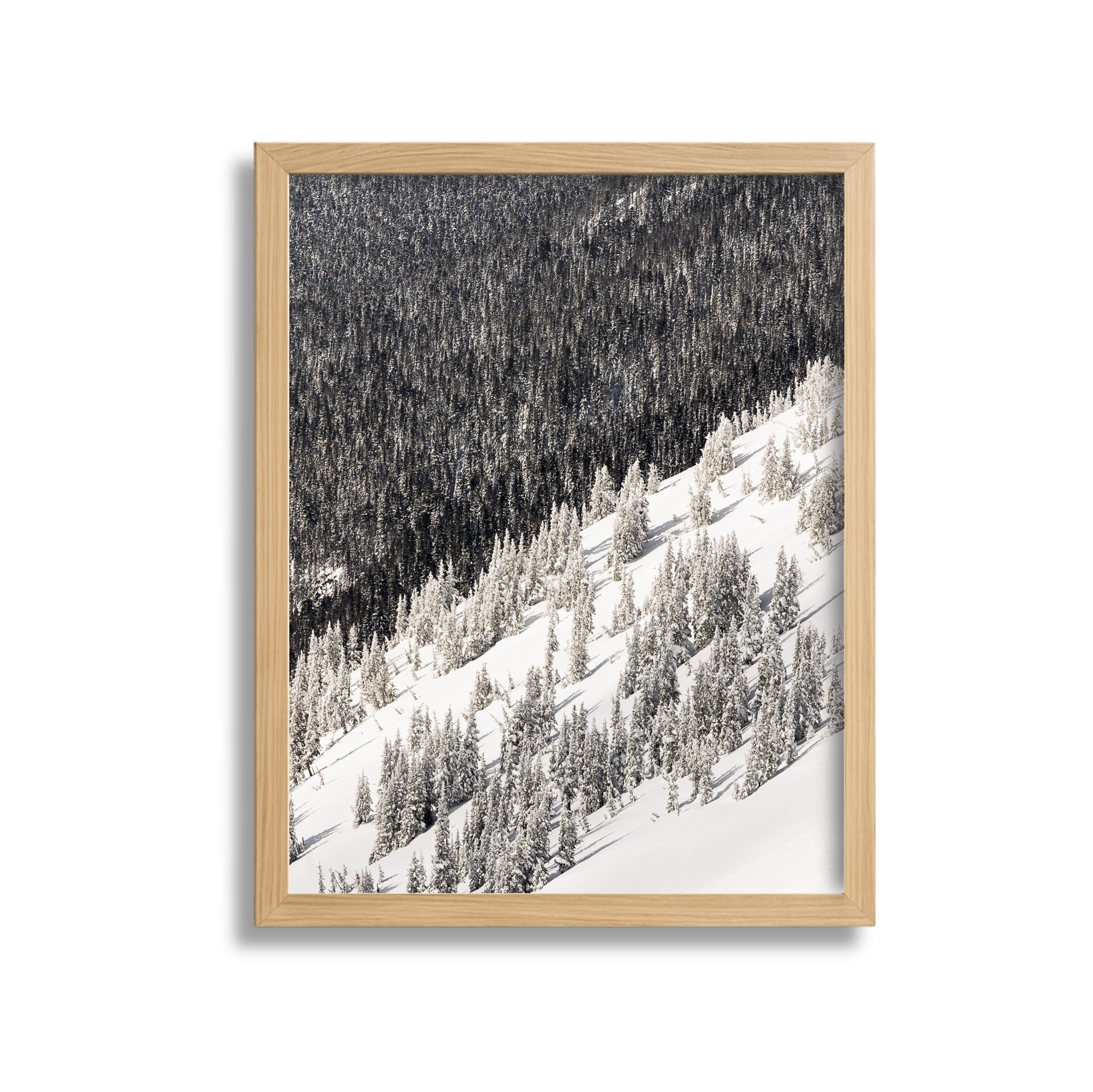 Framed photograph of a snow-covered mountain slope with snow-dusted trees and a dense forest in the background.