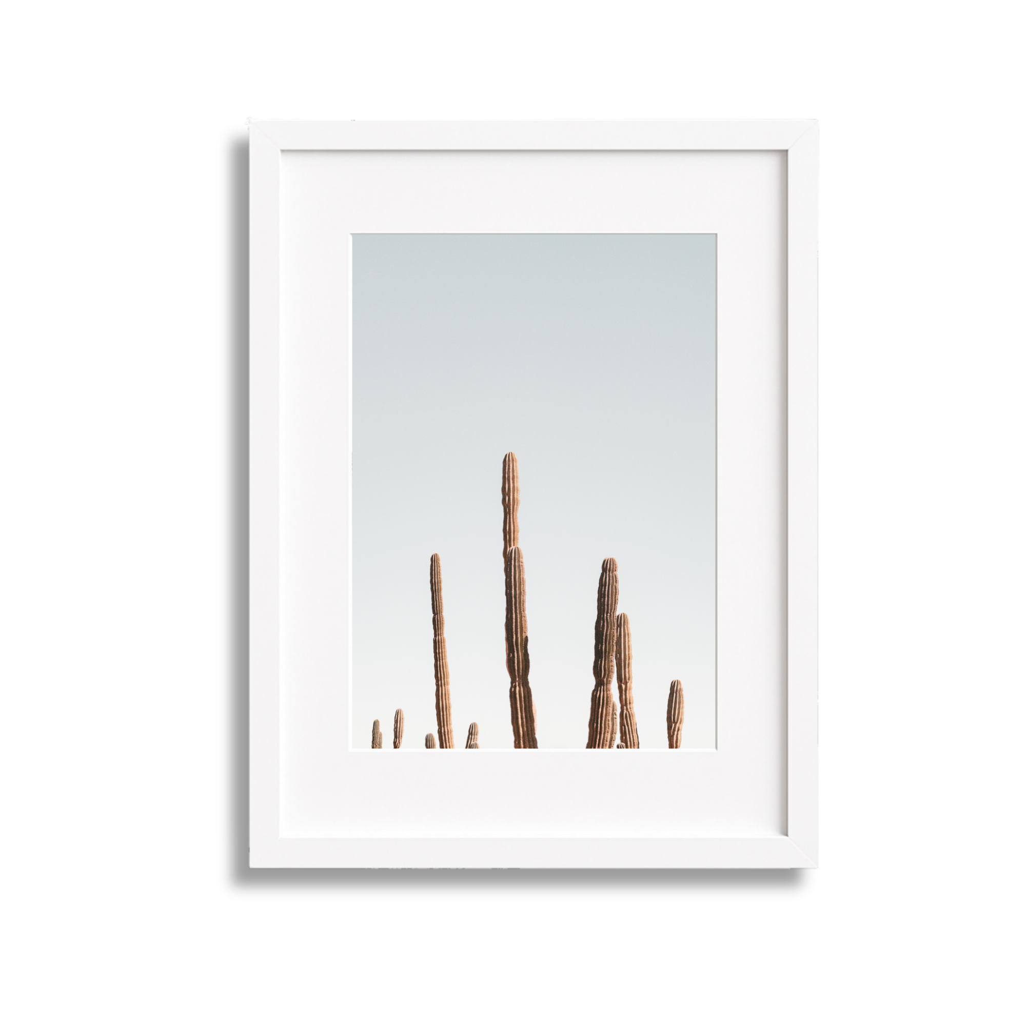 White framed picture of desert cacti against a light blue sky.