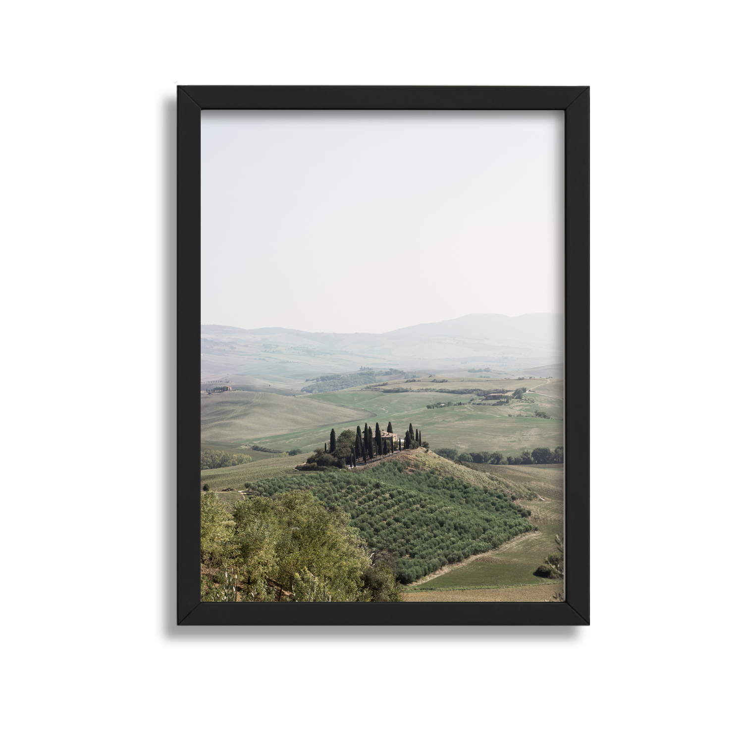 Orcia Haze
