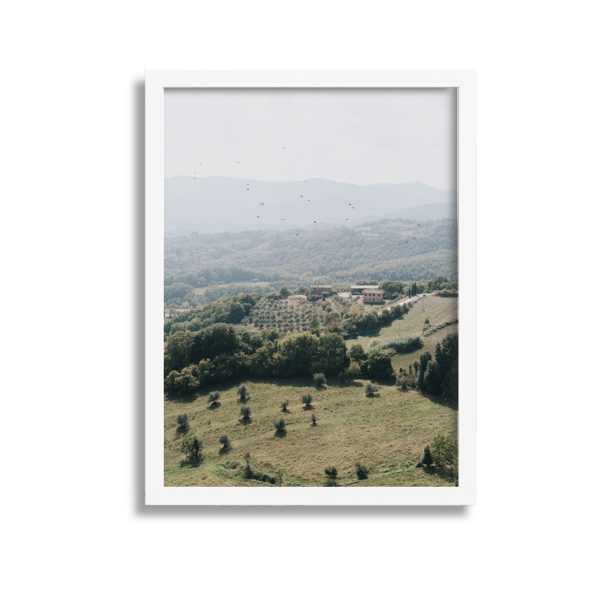 Landscape view of rolling hills with scattered trees and houses, distant mountains with foggy sky, and birds flying overhead, framed in a white border.