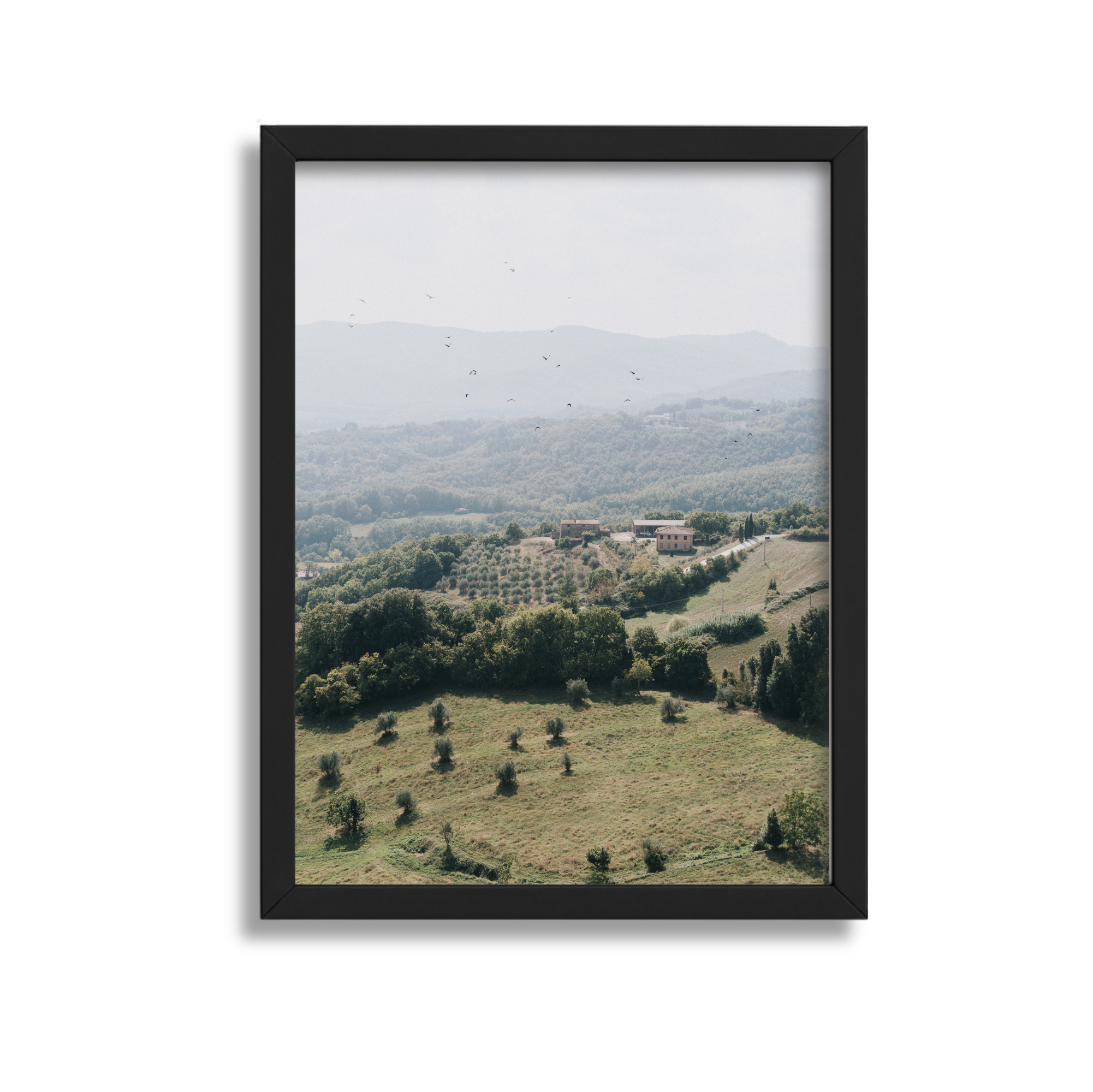 Landscape view of rolling hills with trees, bushes, and distant mountains, seen through a framed window.