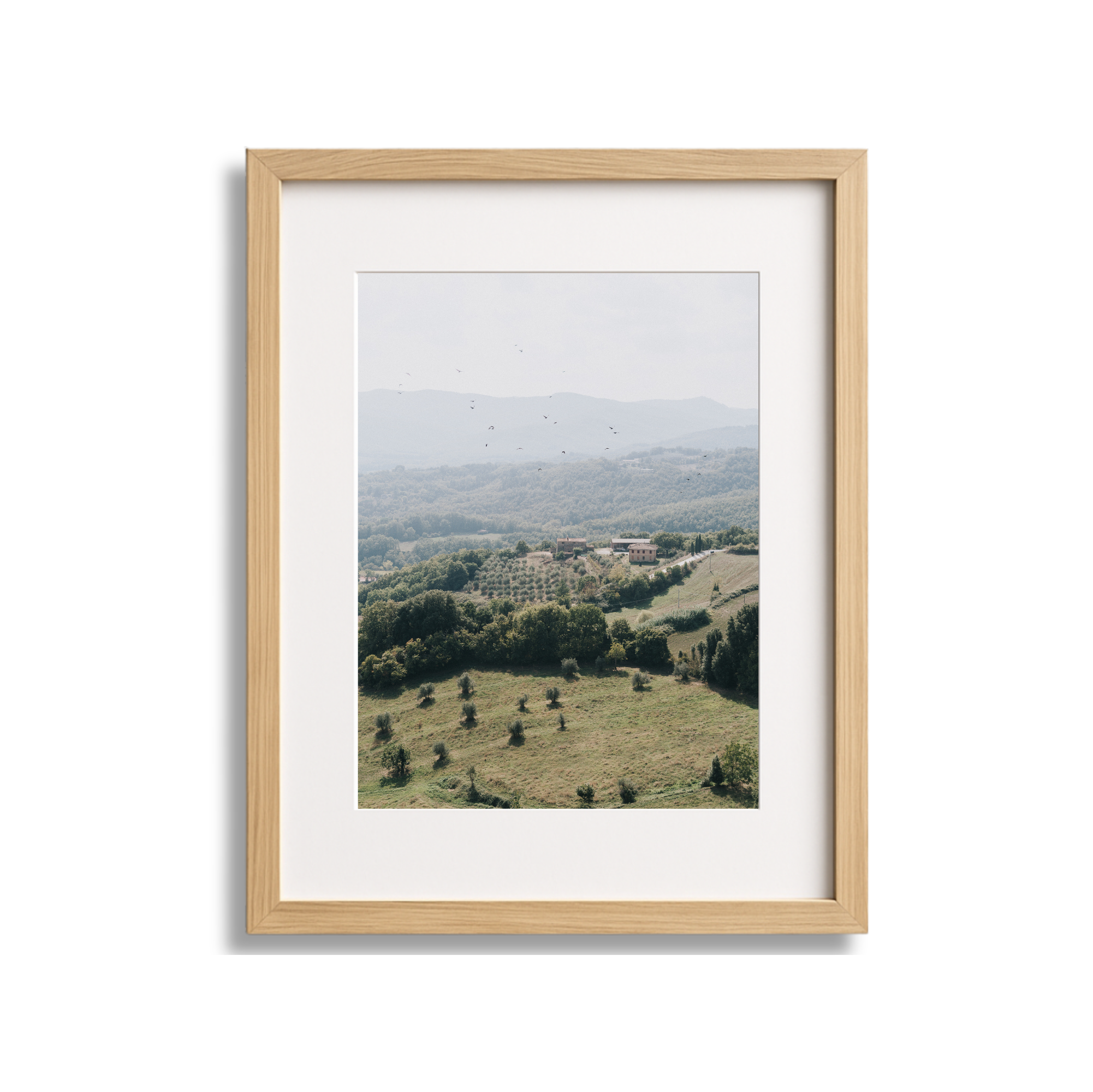 Framed picture of a landscape with hills, trees, and a flock of birds in the sky.