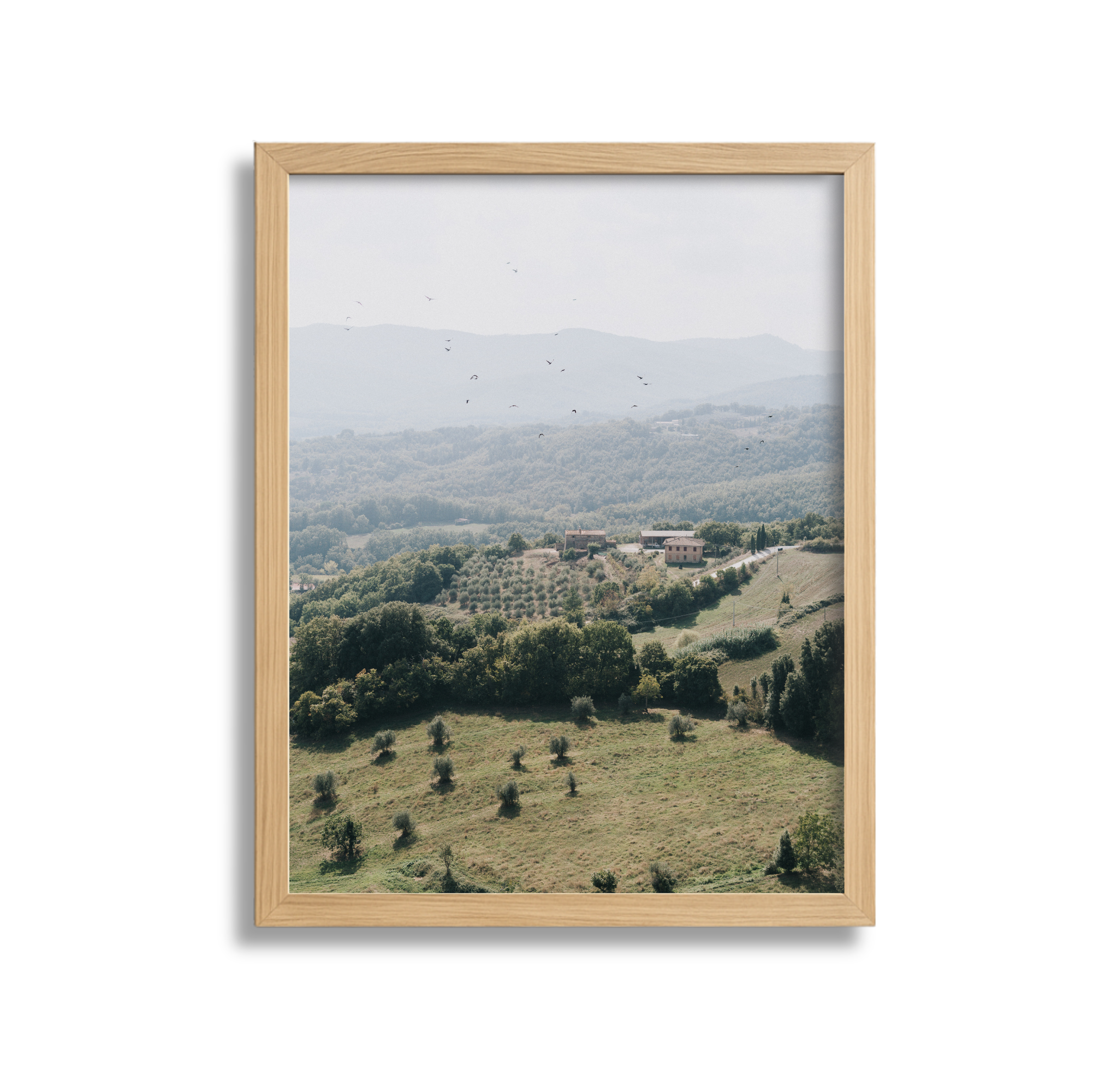 Landscape view of rolling hills and trees through a wooden-framed picture on a white background.