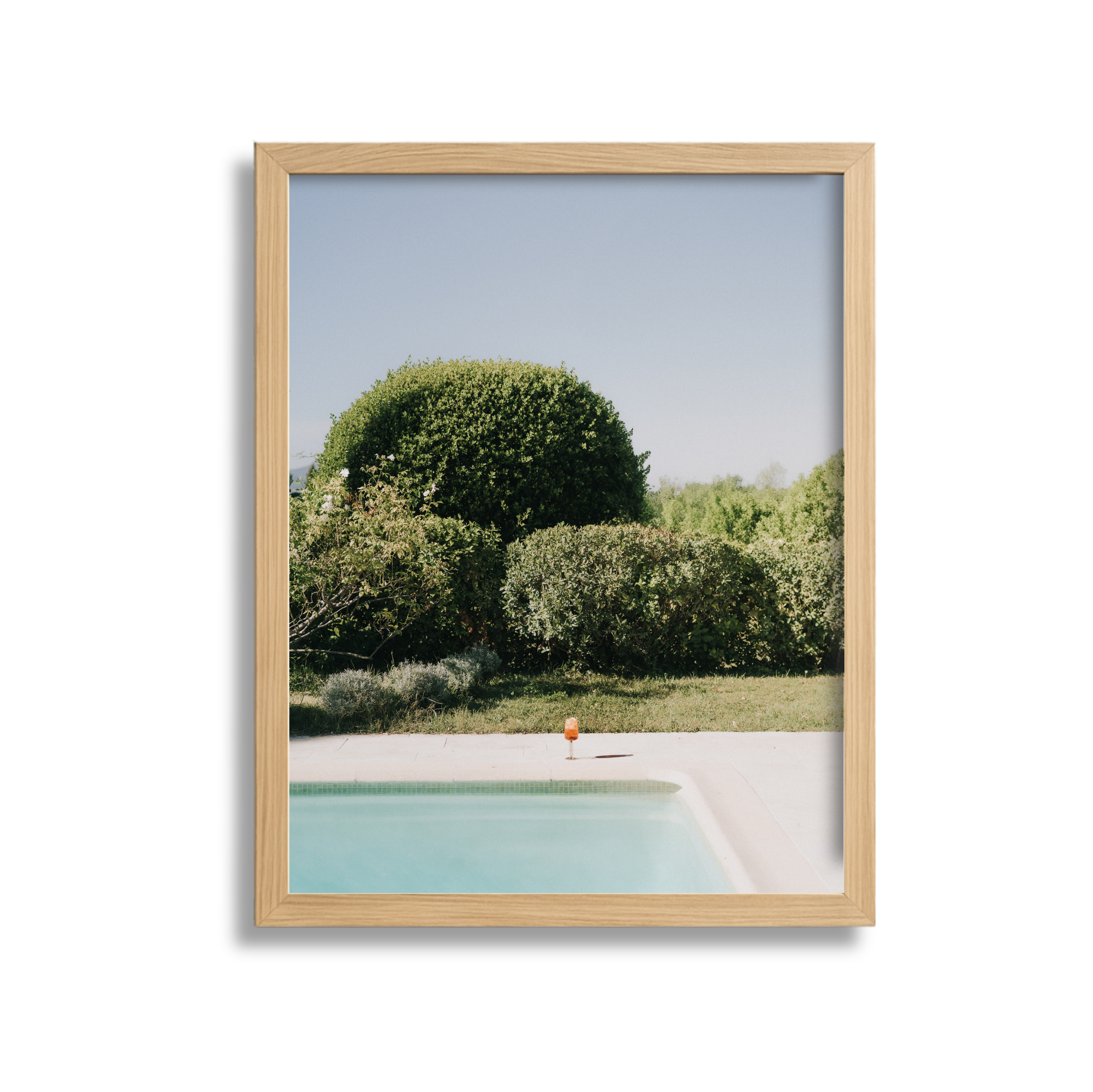 A framed photo of backyard with swimming pool, lush bushes, and a large green tree under a clear blue sky.